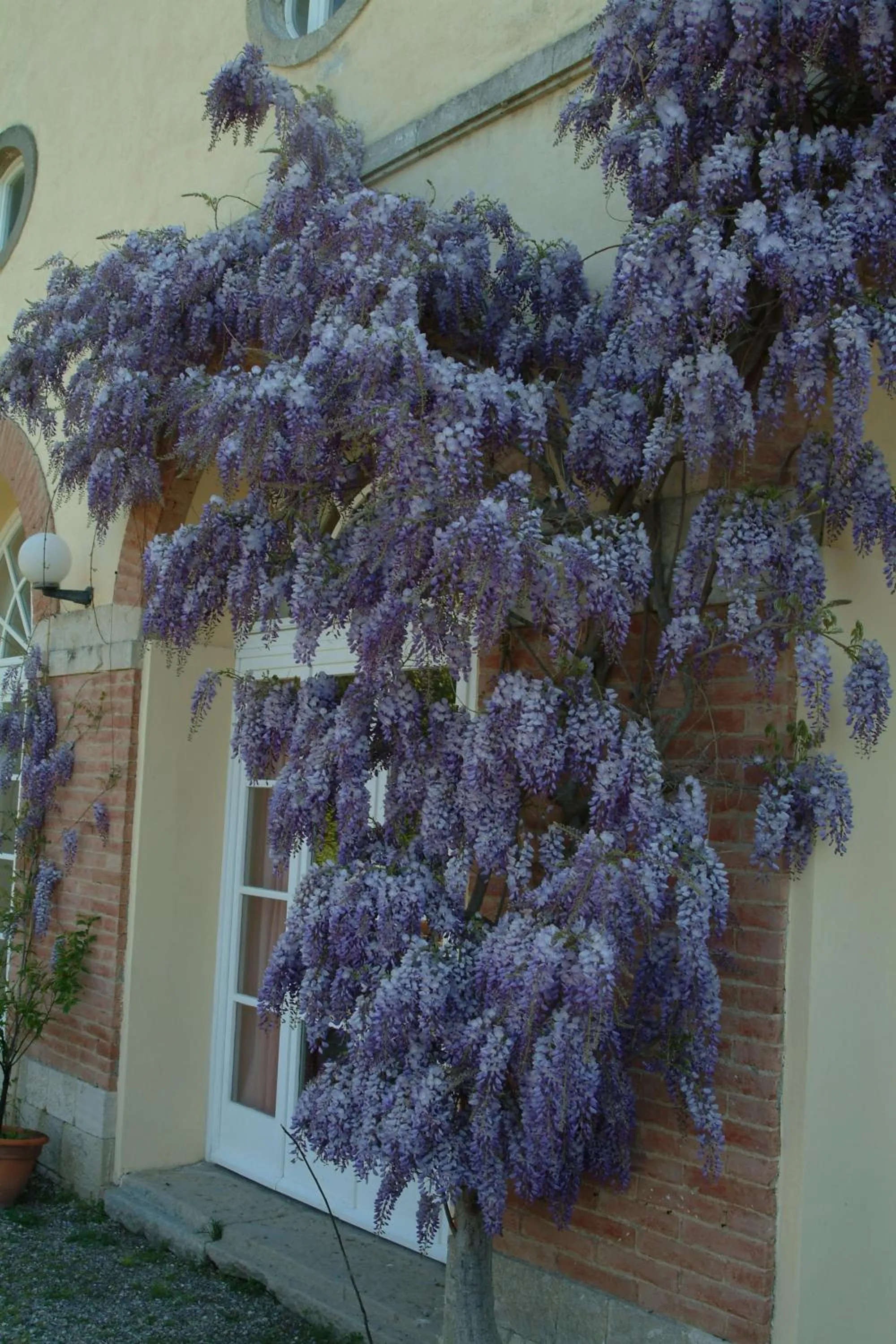 Decorative detail in Villa Palagione Centro Interculturale
