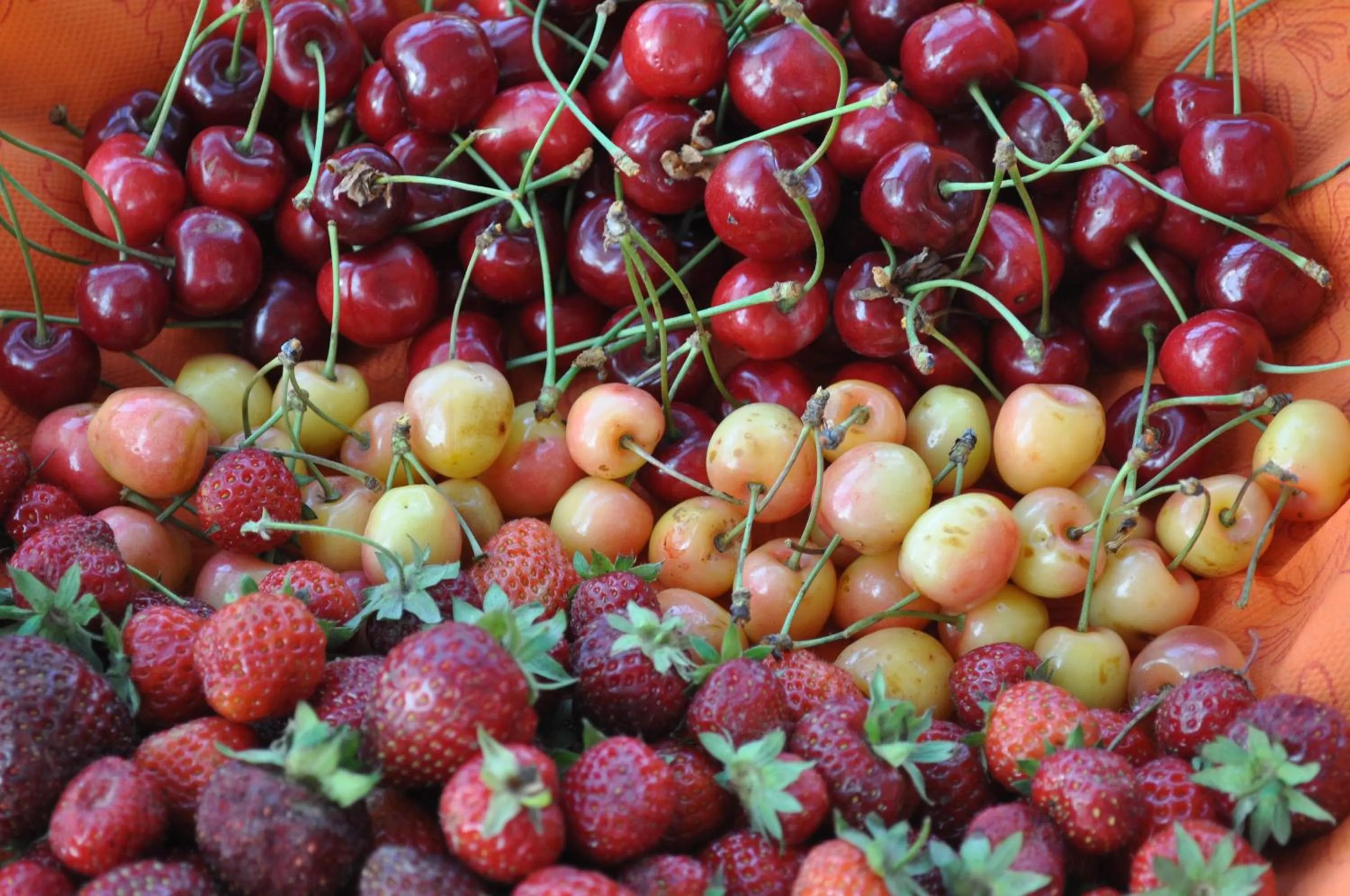 Summer in B&B Ambrosia