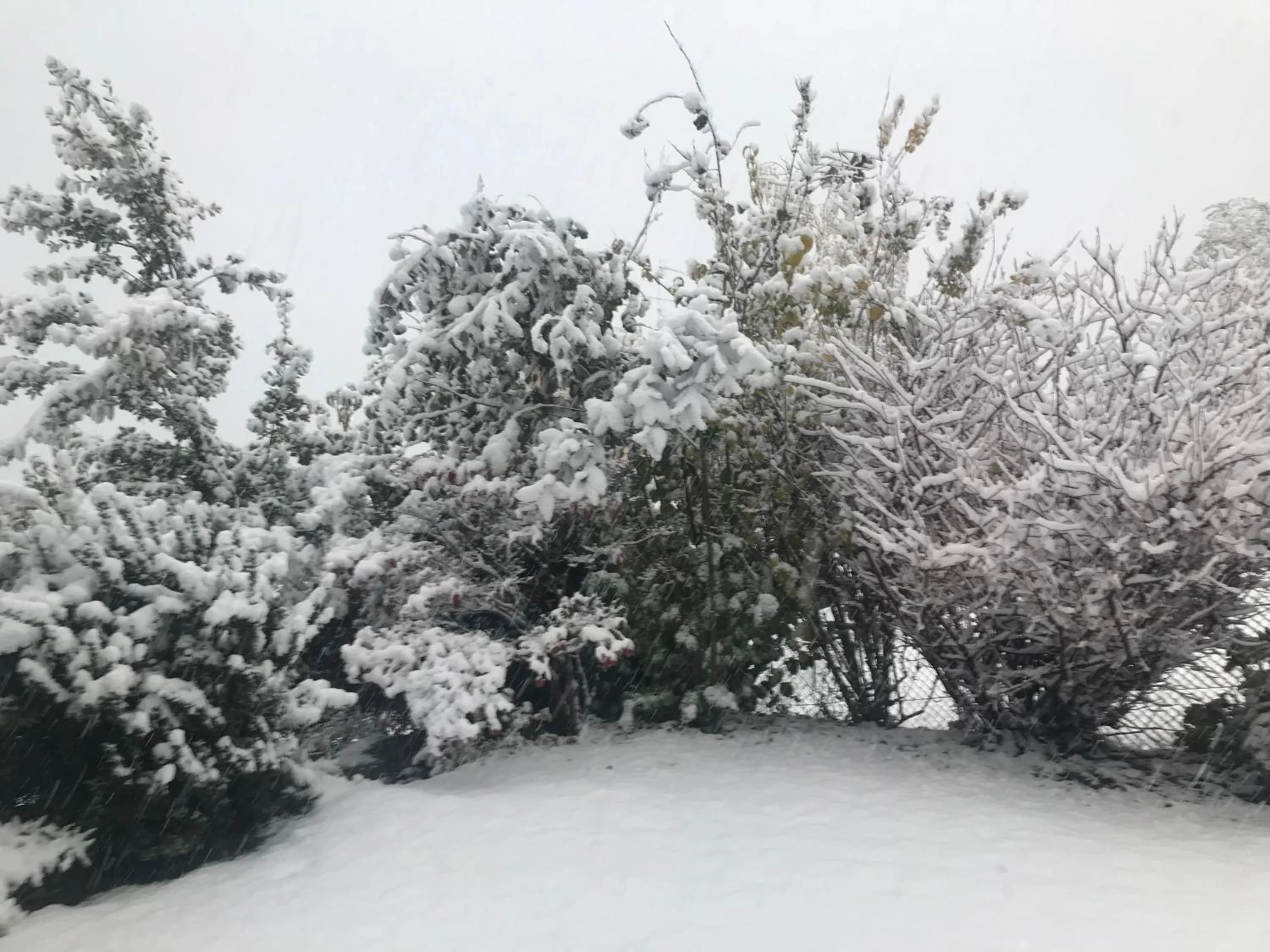 Natural landscape in B&B Ambrosia