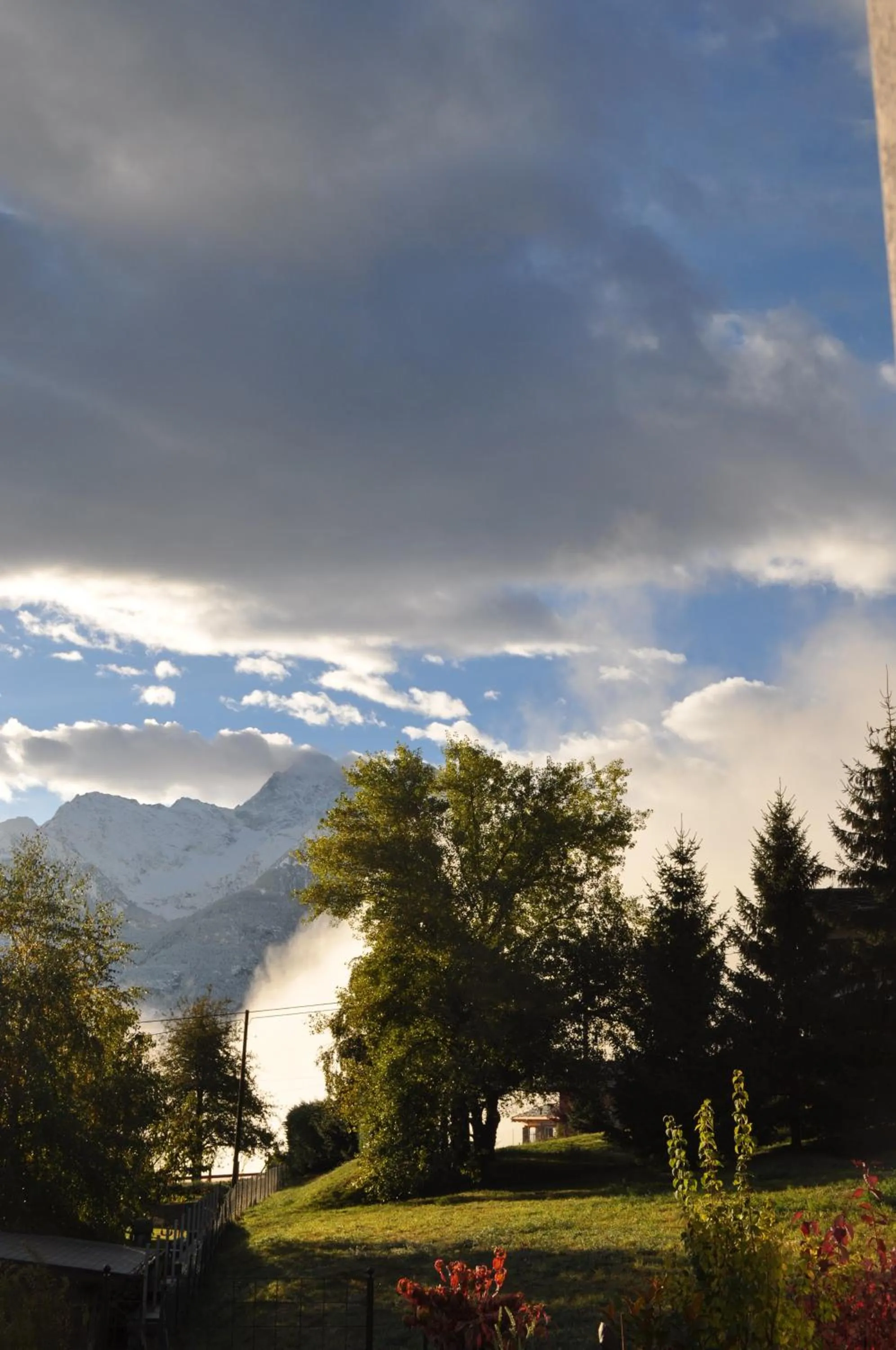 Spring in B&B Ambrosia