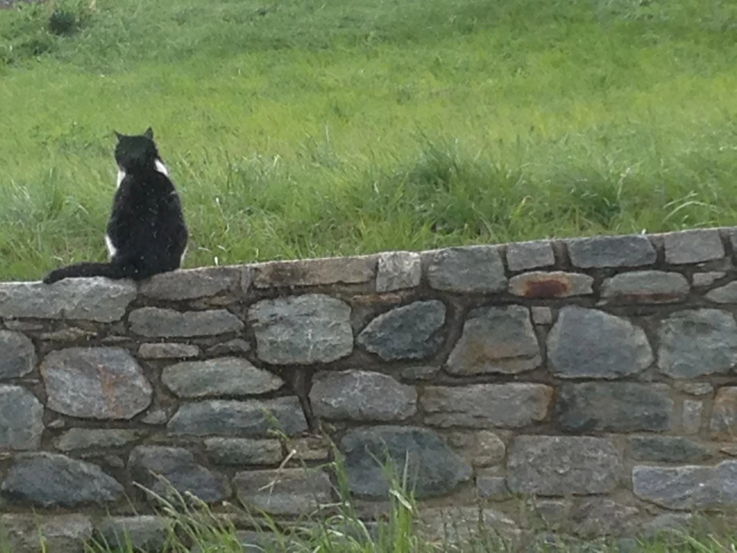 Garden in B&B Ambrosia