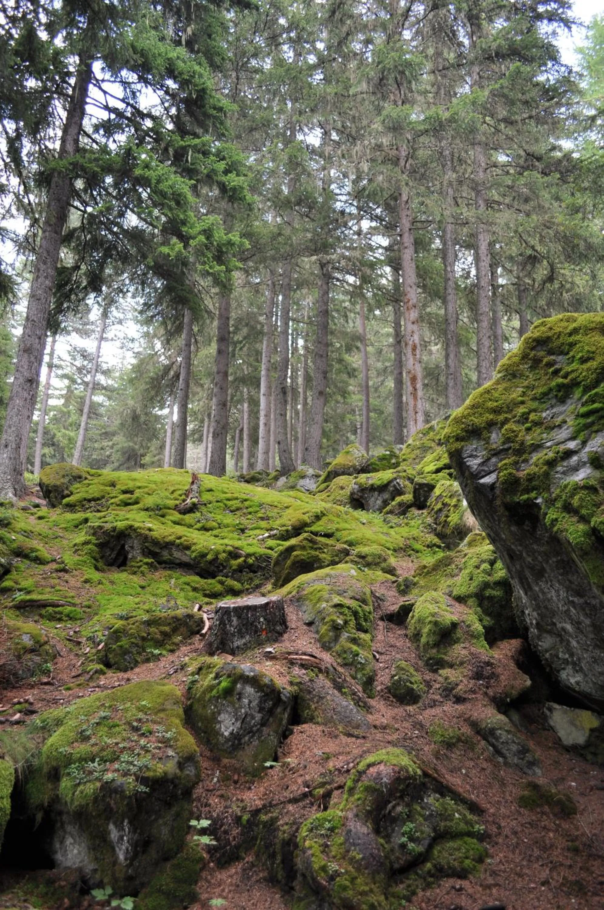Hiking in B&B Ambrosia