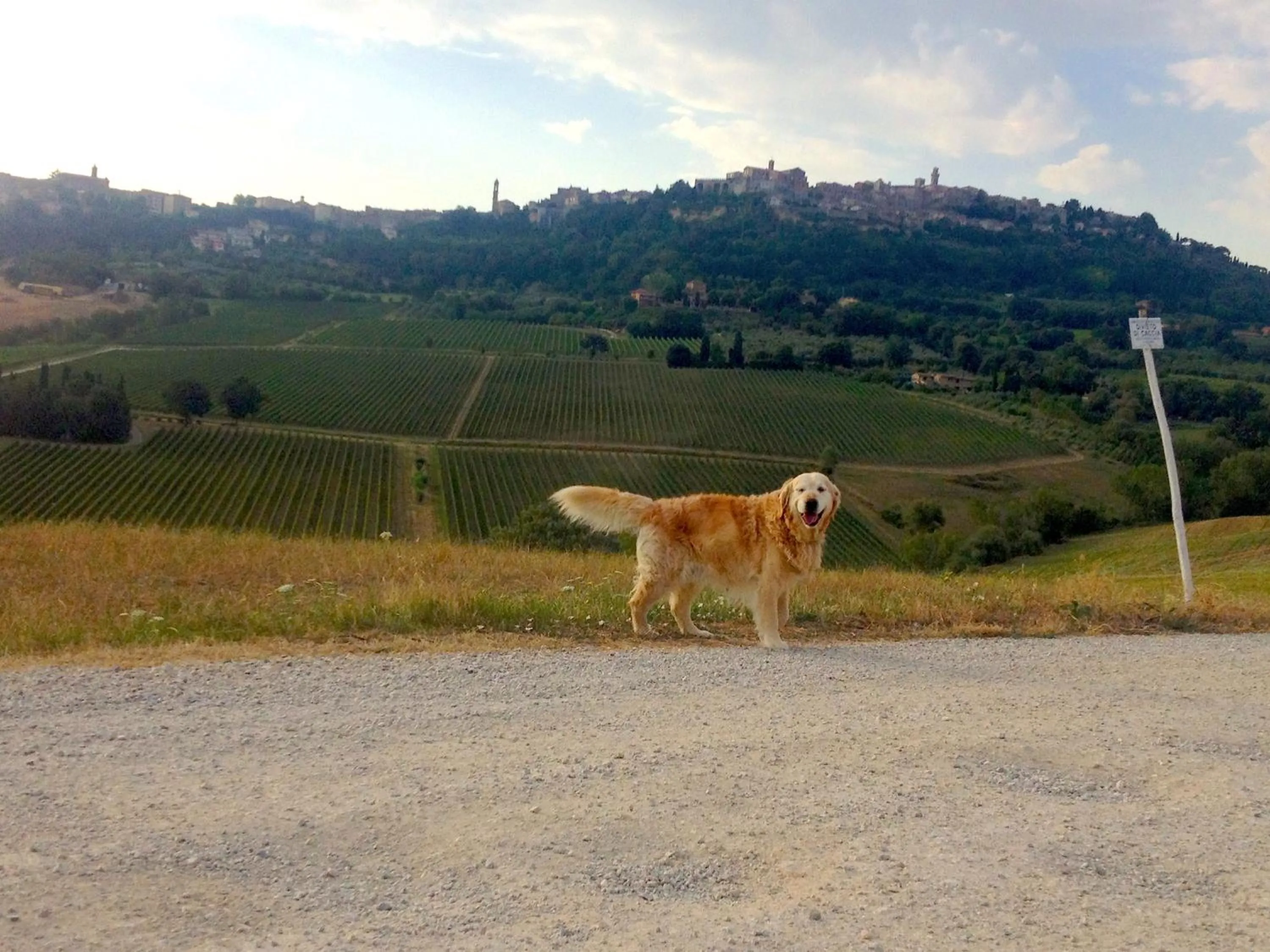 Nearby landmark in Agriturismo San Gallo