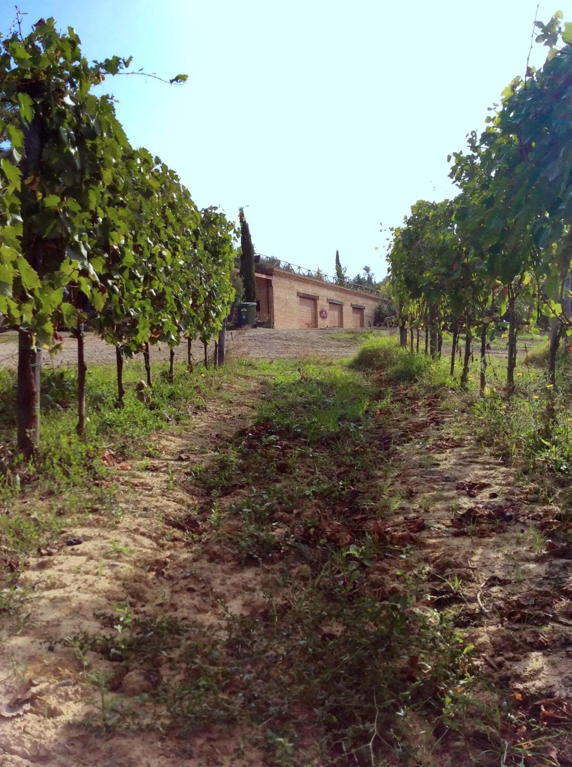 On site in Agriturismo San Gallo