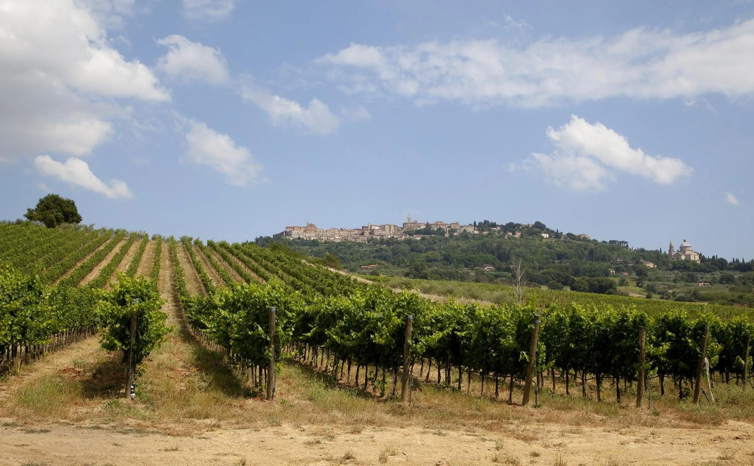 City view in Agriturismo San Gallo