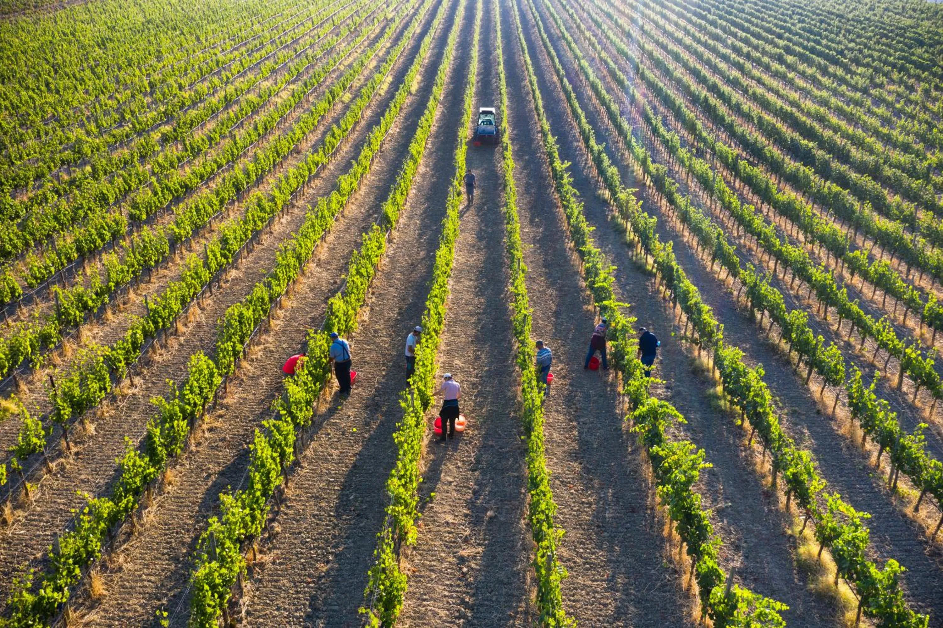 Bird's eye view in Agriturismo San Gallo