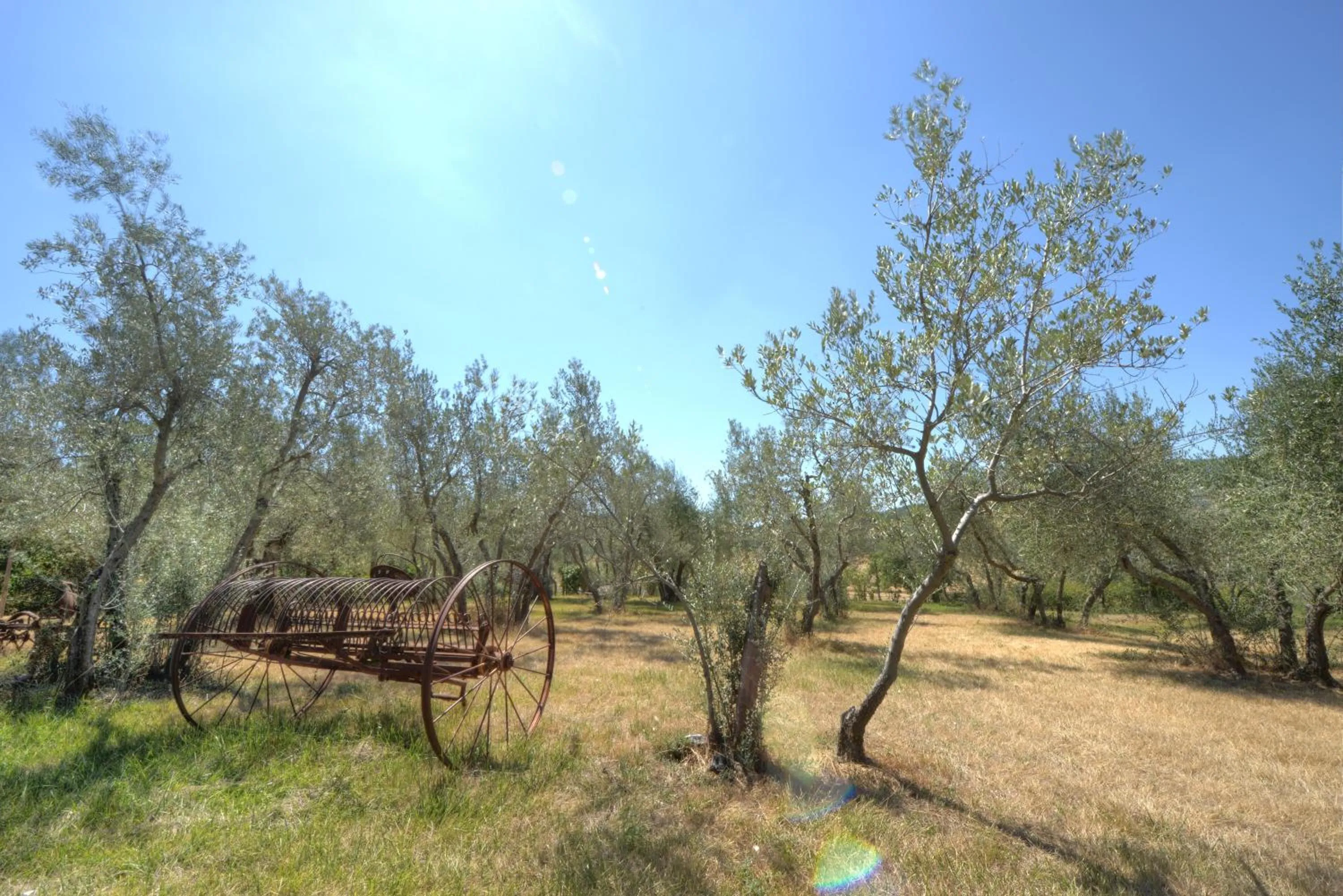 Natural landscape in Agriturismo San Gallo