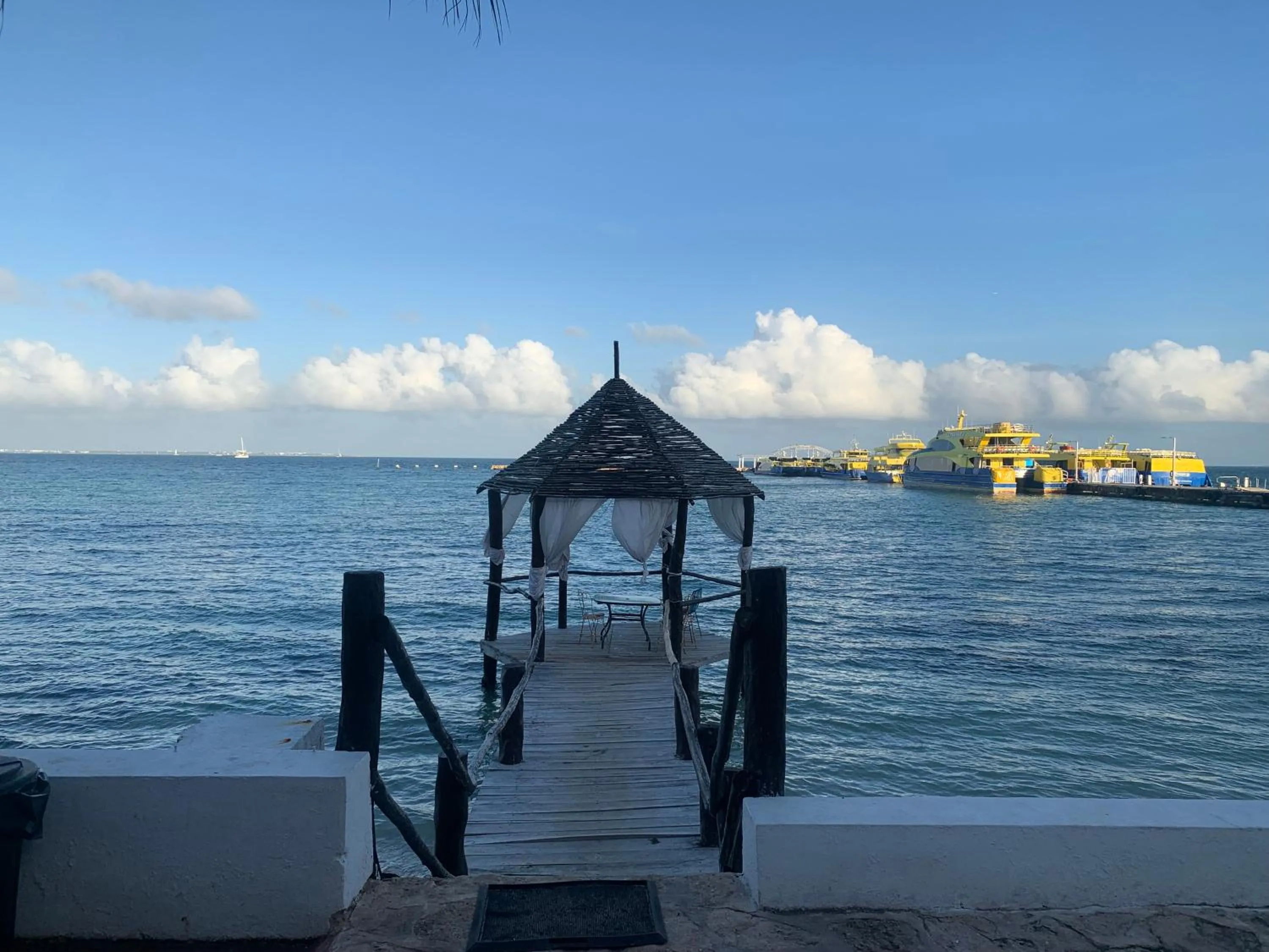 Natural landscape in Casa CARIBE Cancun