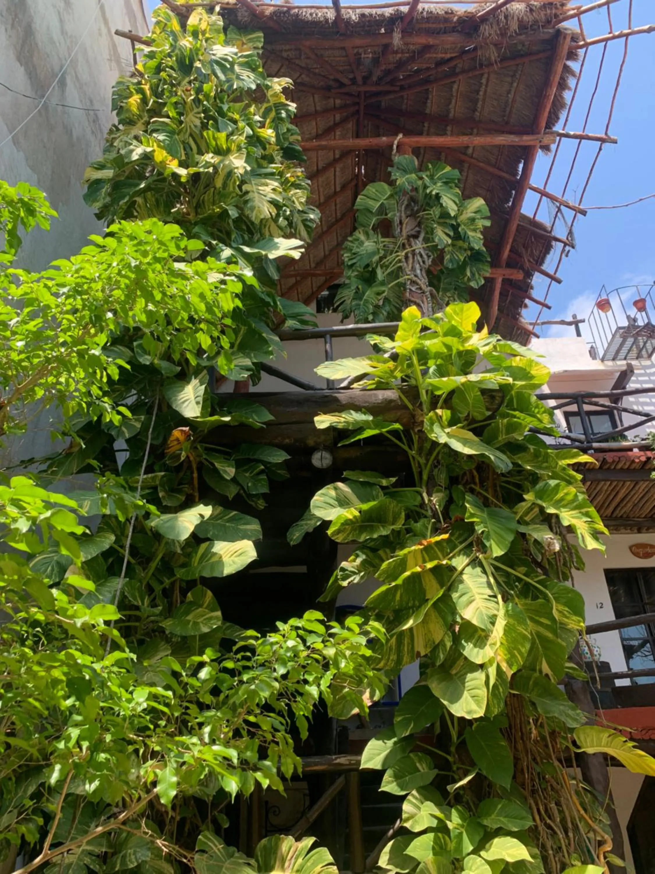 Garden view in Casa CARIBE Cancun