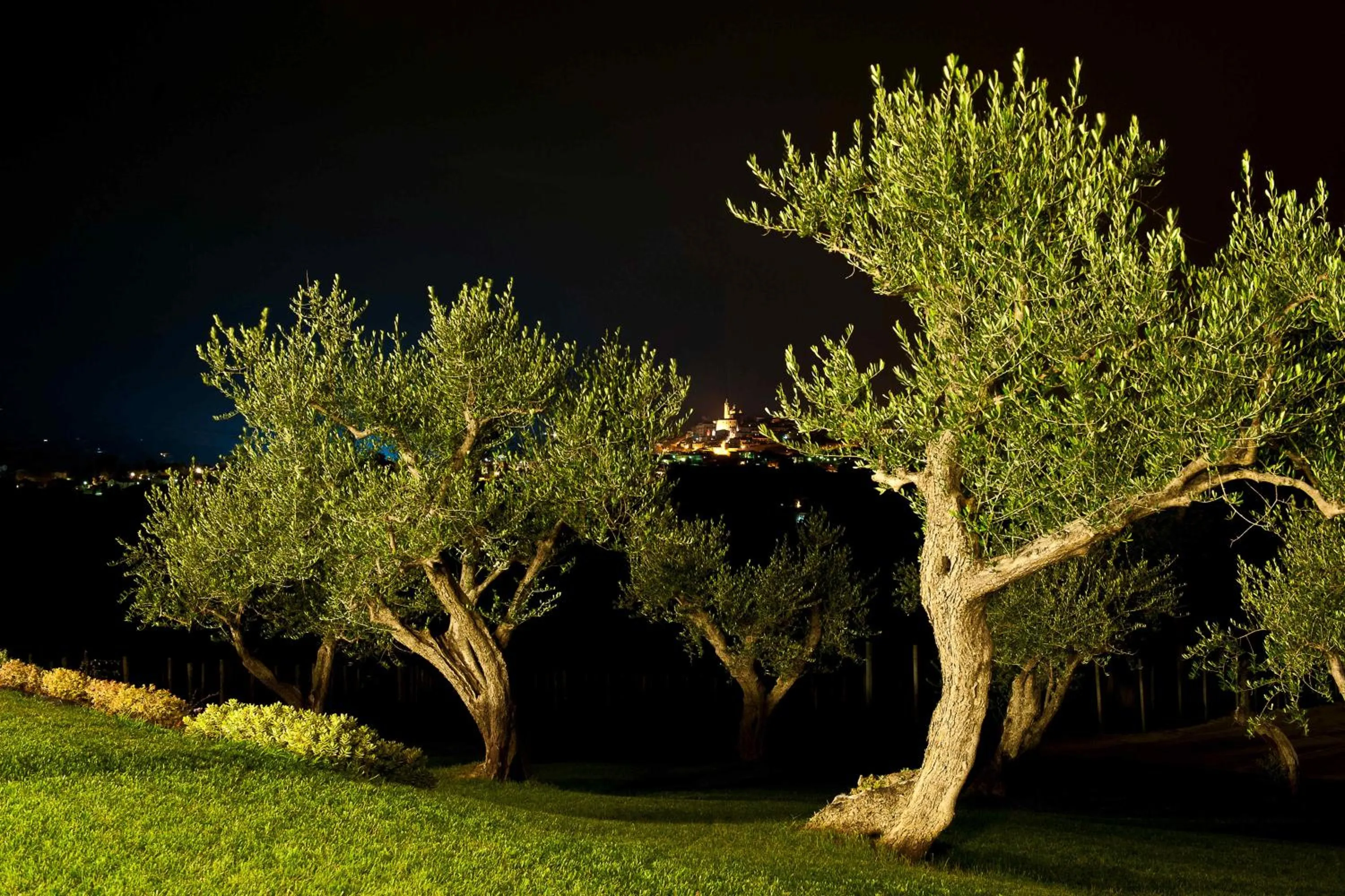 Hotel Ristorante Cantina Langelina