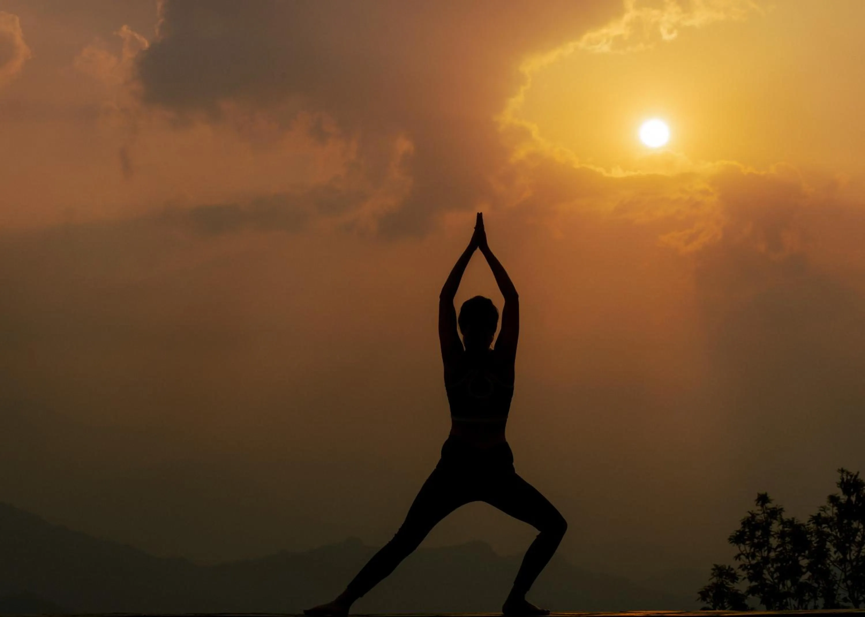 Hotel Annapurna View Sarangkot