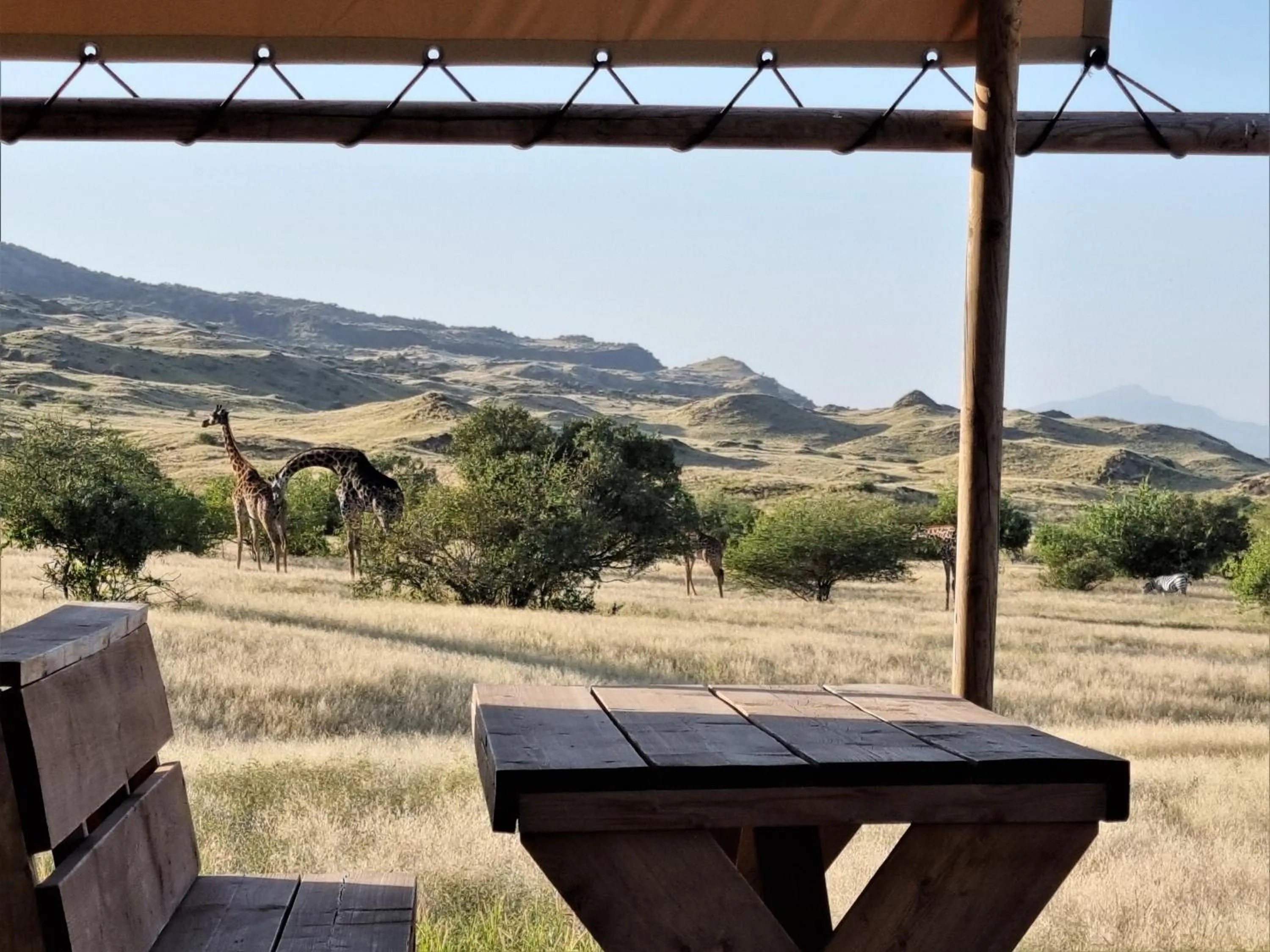 View (from property/room) in Africa Safari Lake Natron