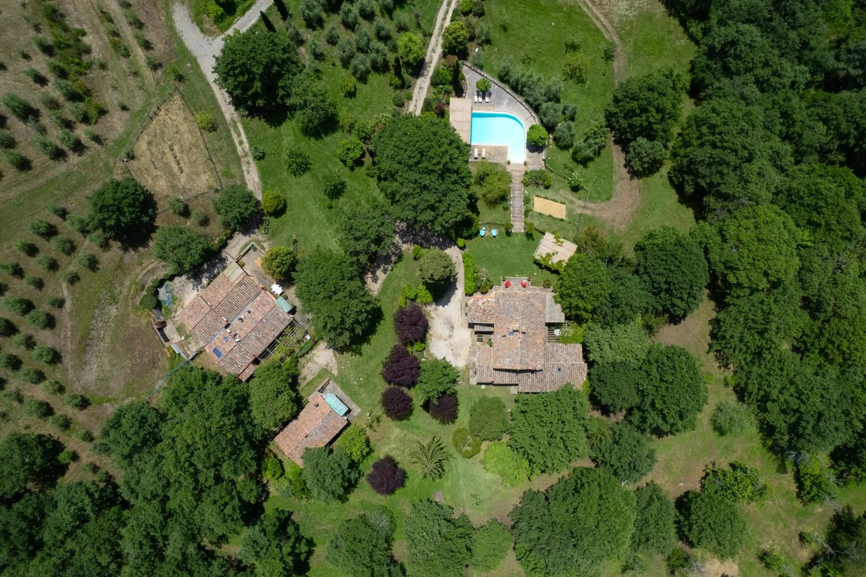 Bird's eye view in Villavetrichina