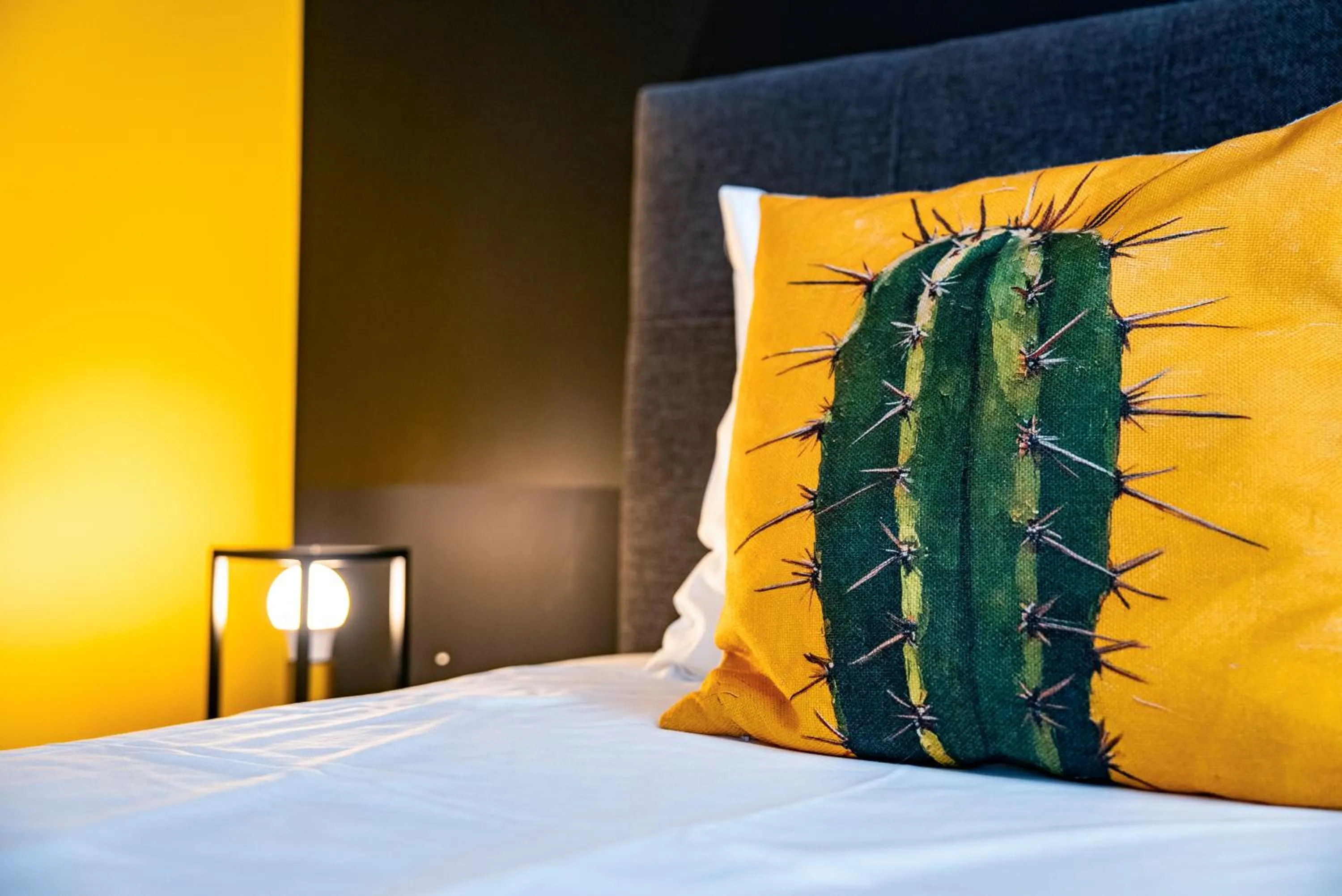 Bed in Kaktus Chill & Sleeping - 50 m od Rynku