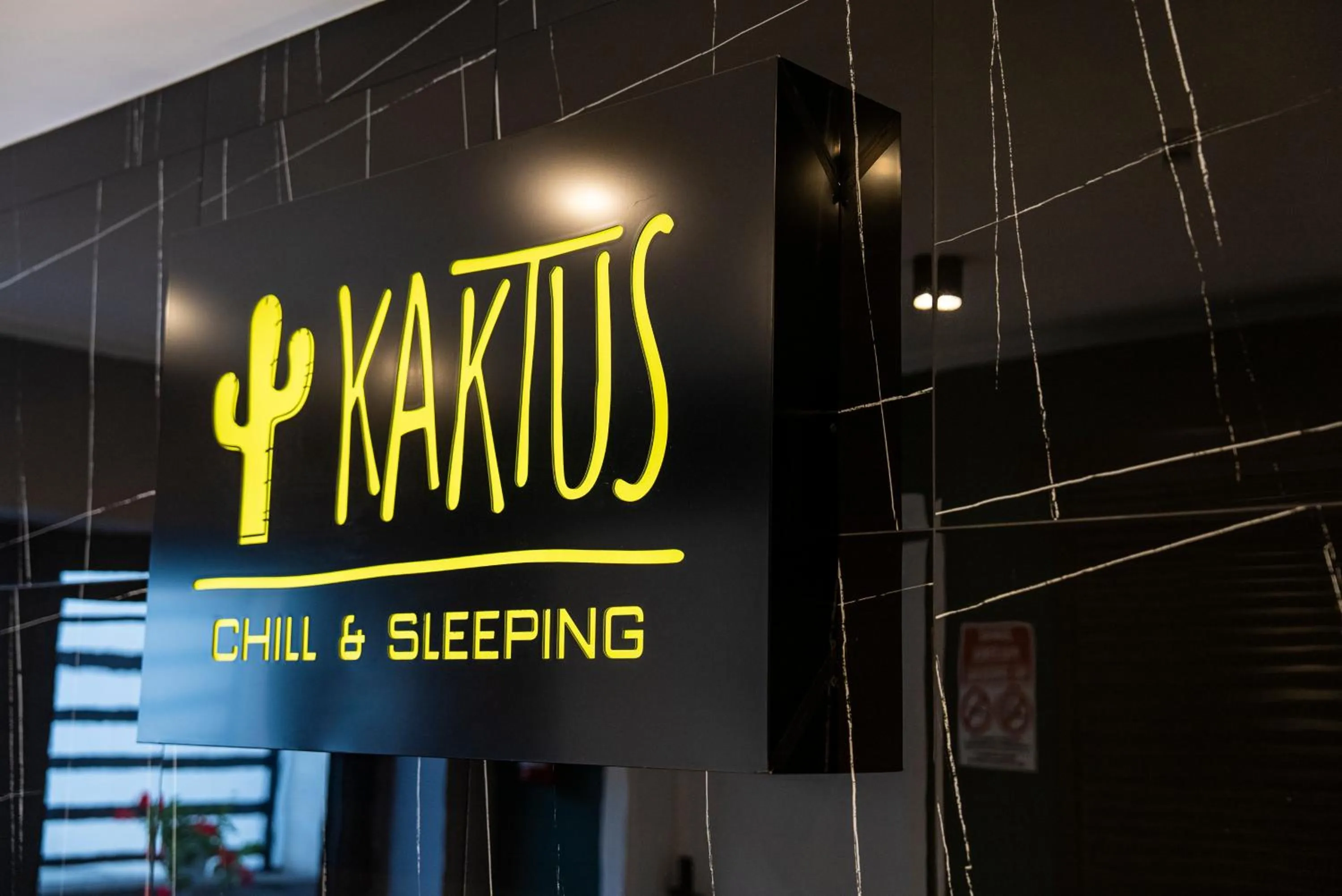 Kaktus Chill & Sleeping - 50 m od Rynku