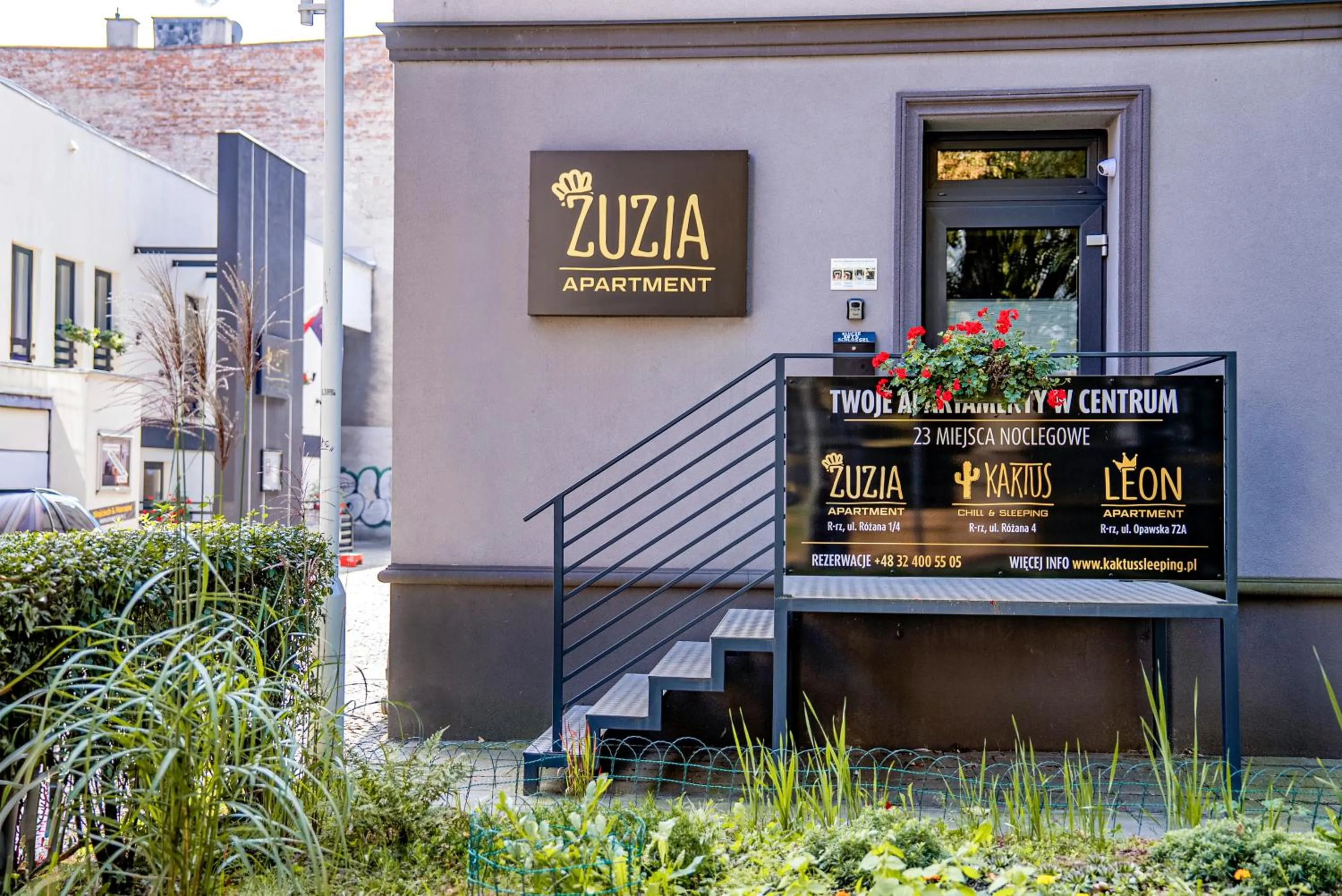 Kaktus Chill & Sleeping - 50 m od Rynku