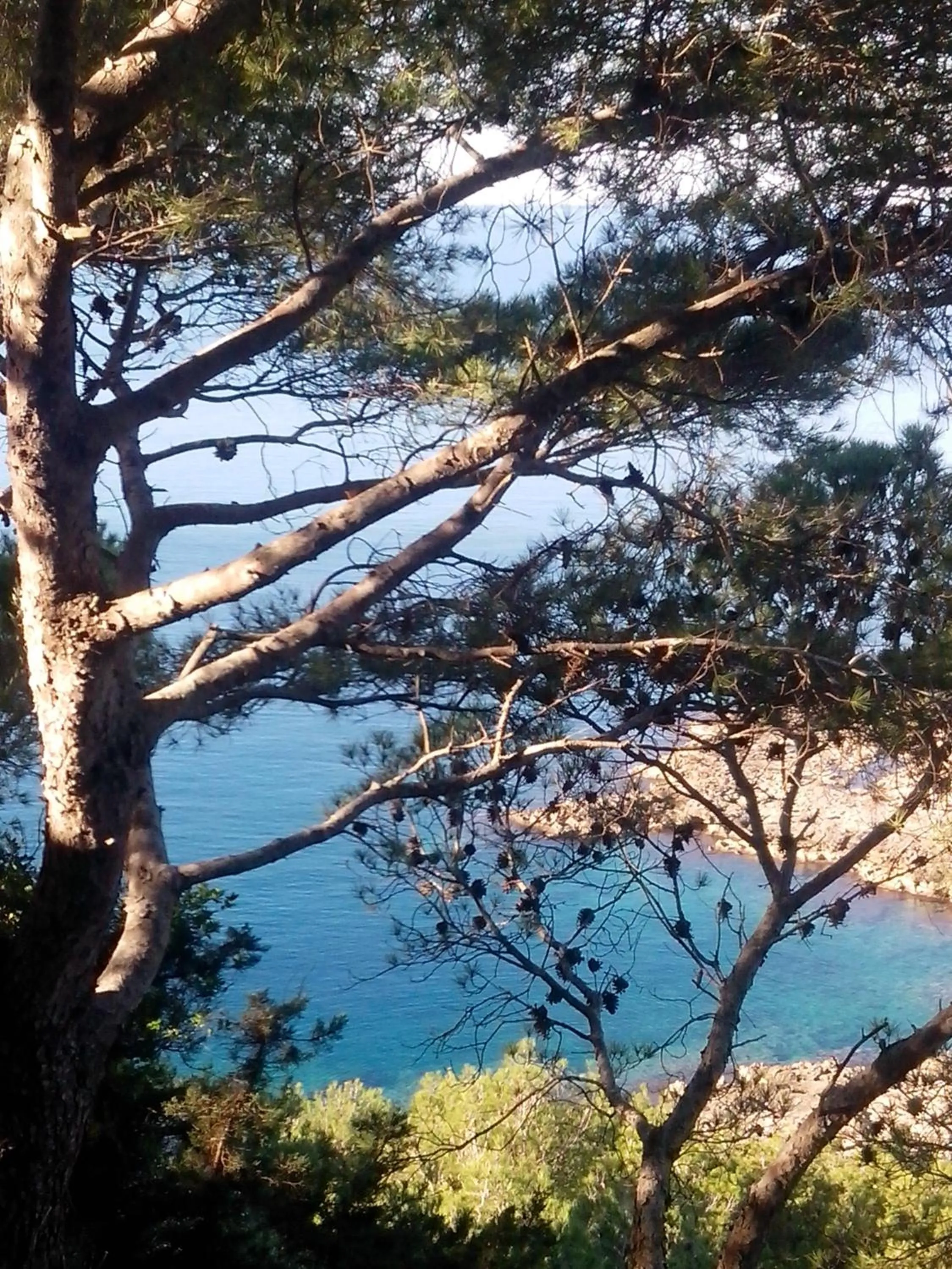 Natural landscape in Portoselvaggio Villa Martina