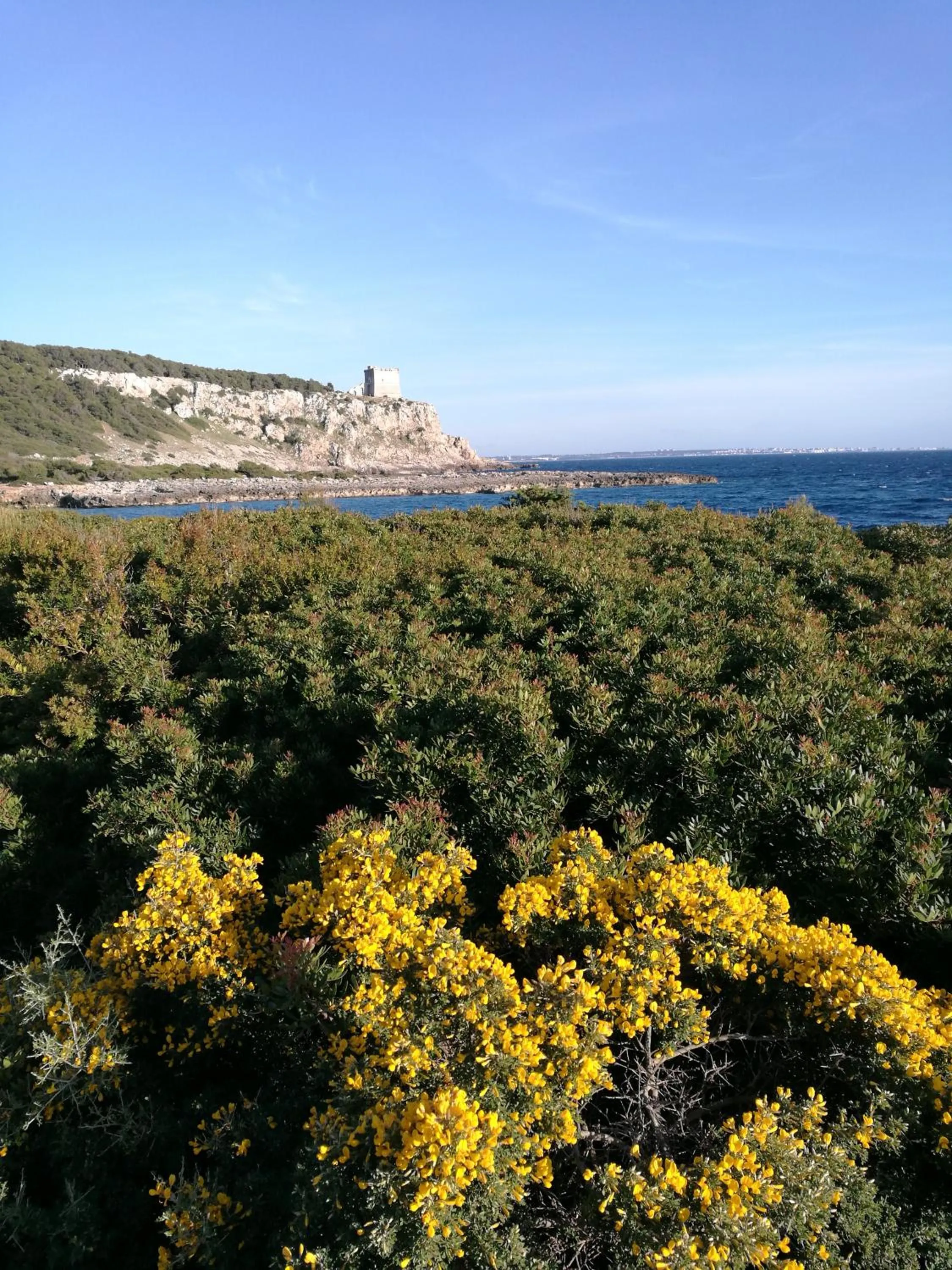 Natural landscape in Portoselvaggio Villa Martina