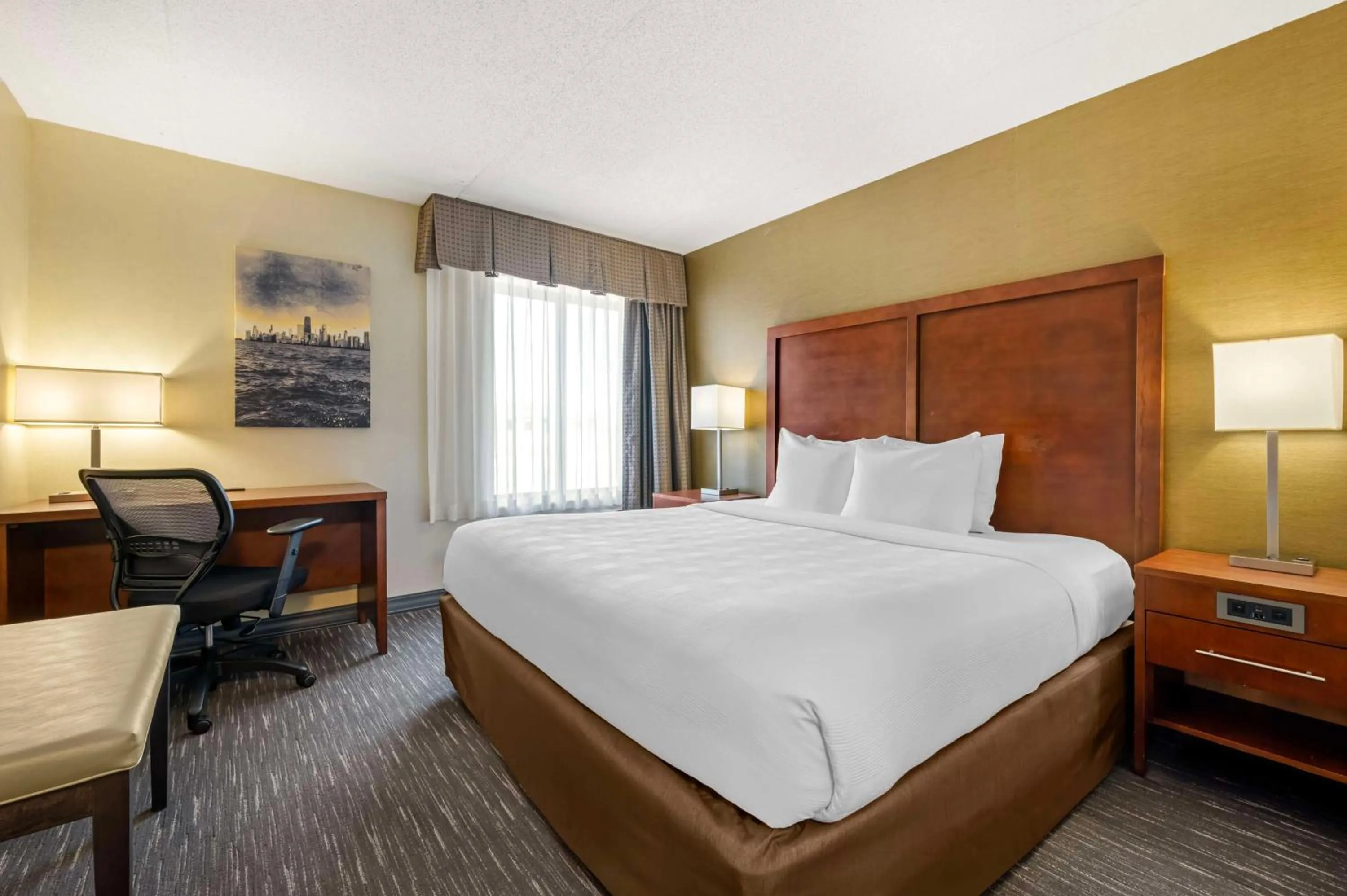 Photo of the whole room, Bed in Best Western Chicago - Downers Grove