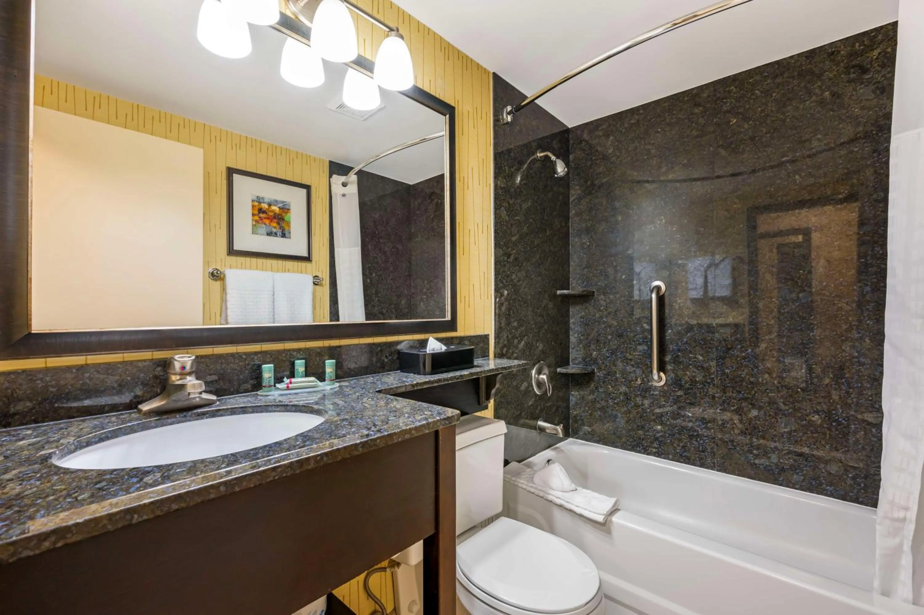 Bathroom in Best Western Chicago - Downers Grove