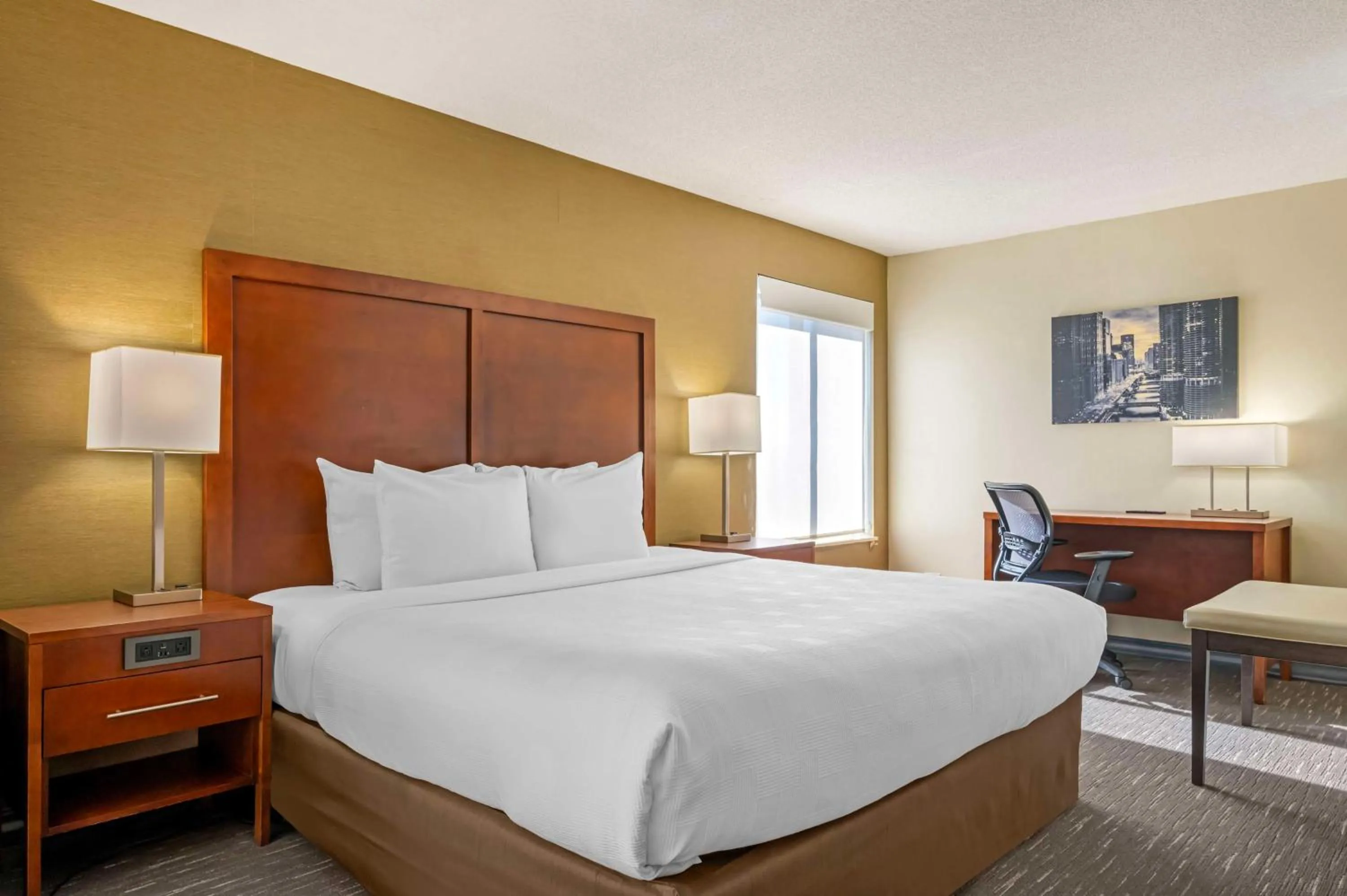 Photo of the whole room, Bed in Best Western Chicago - Downers Grove