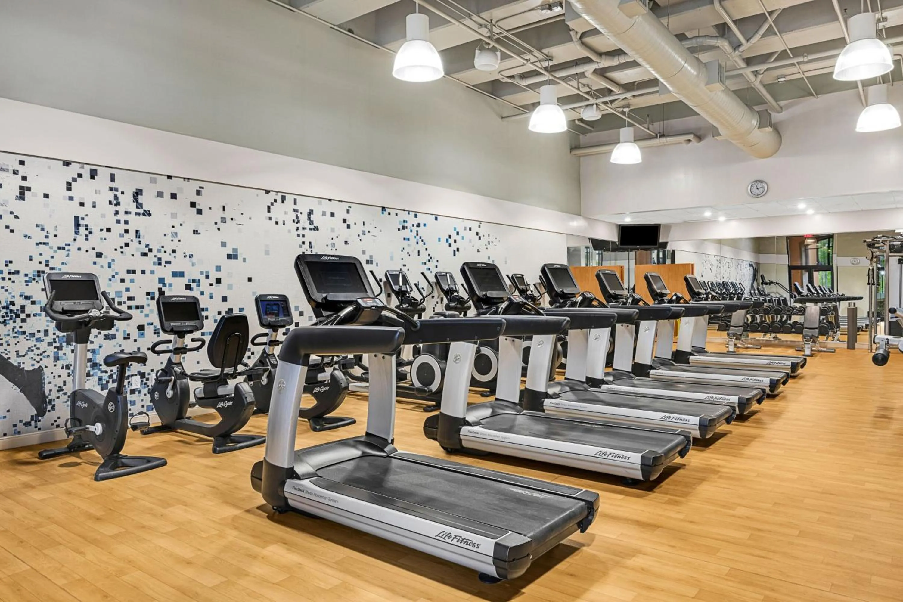 Fitness centre/facilities in Sheraton Vistana Villages Resort Villas, I-Drive Orlando