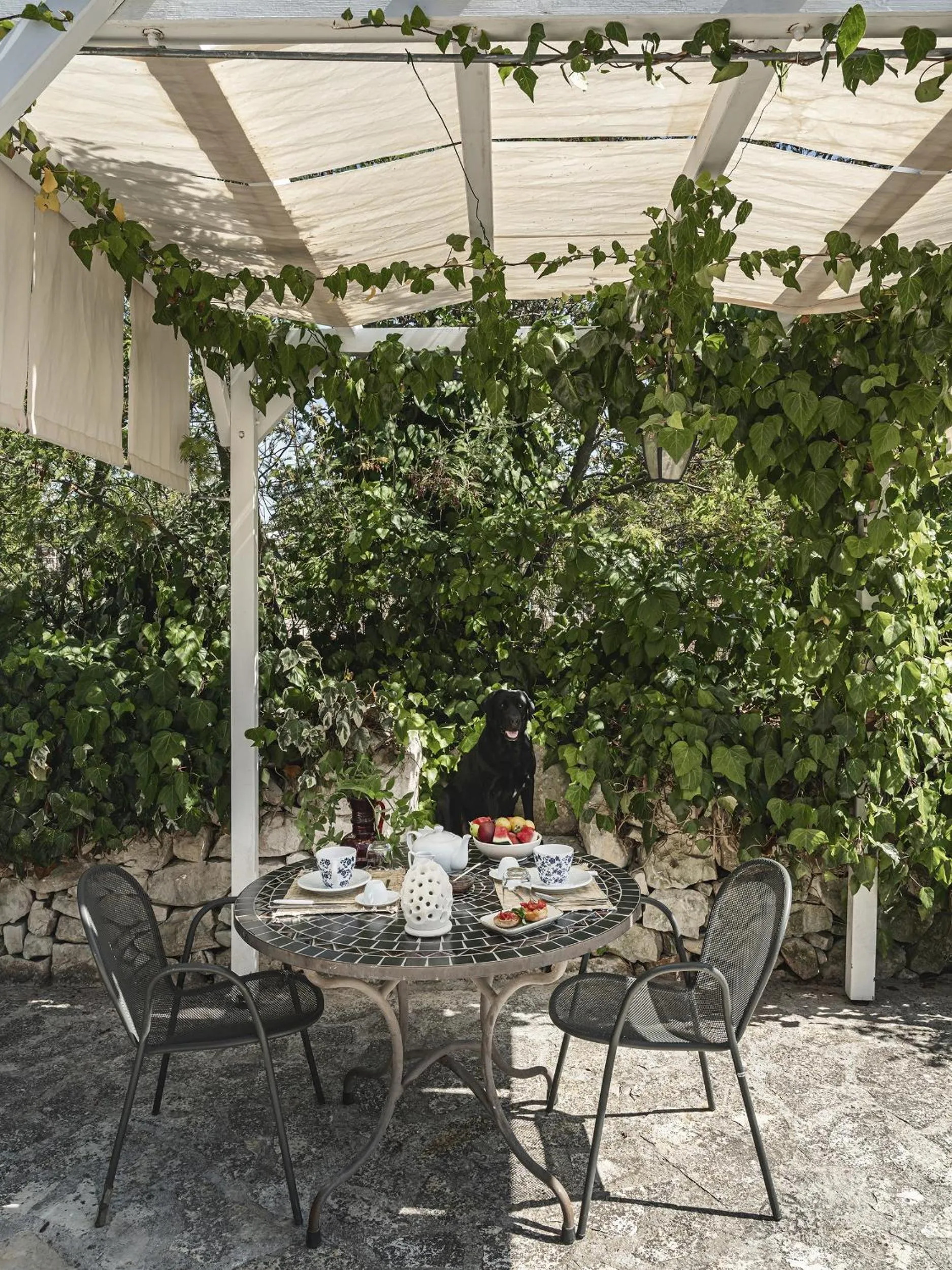 Pets in Trulli Del Bosco