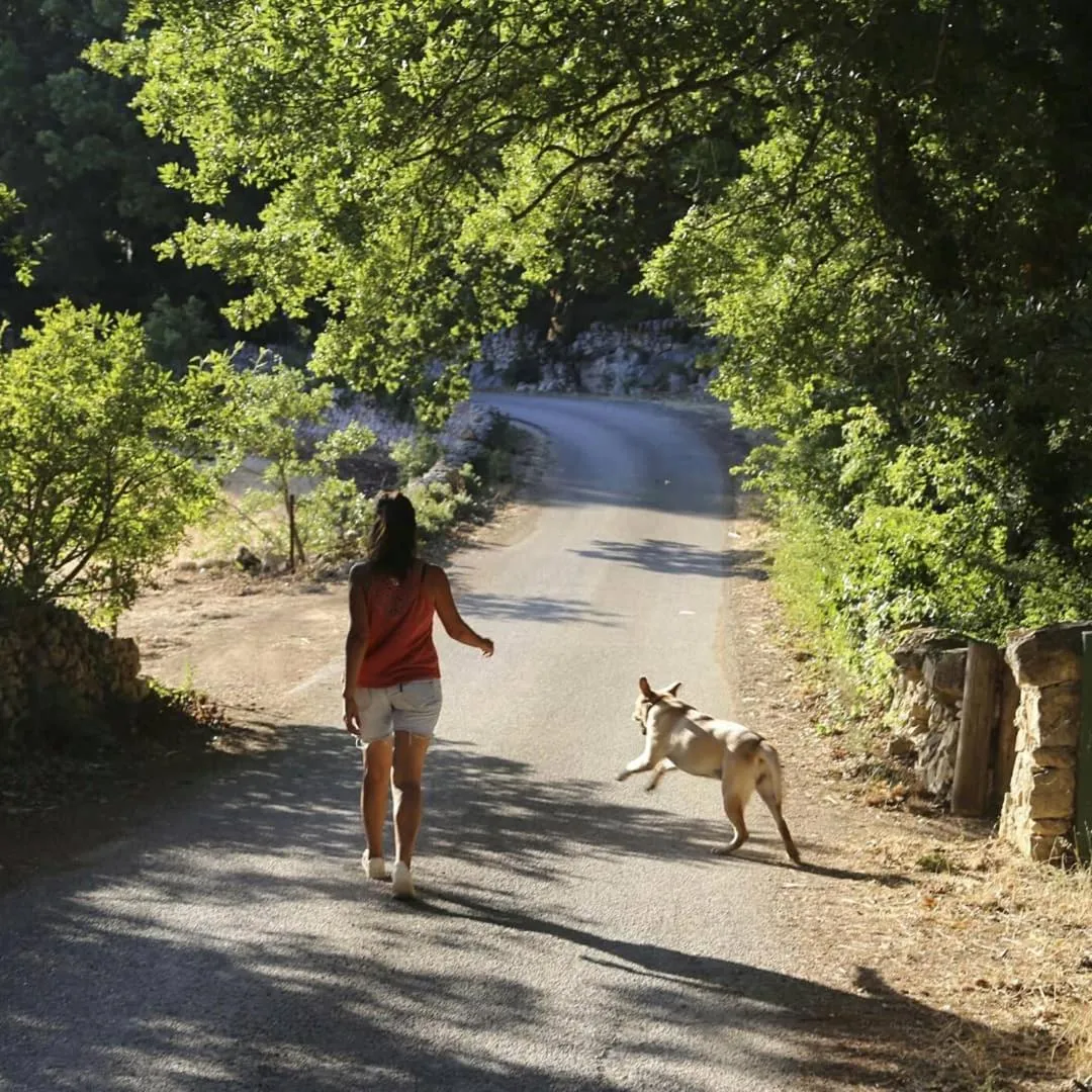 Pets in Trulli Del Bosco