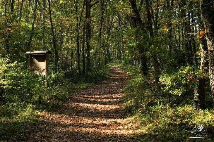 Natural landscape in Trulli Del Bosco