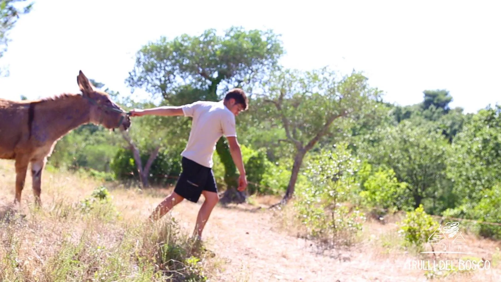 Pets in Trulli Del Bosco