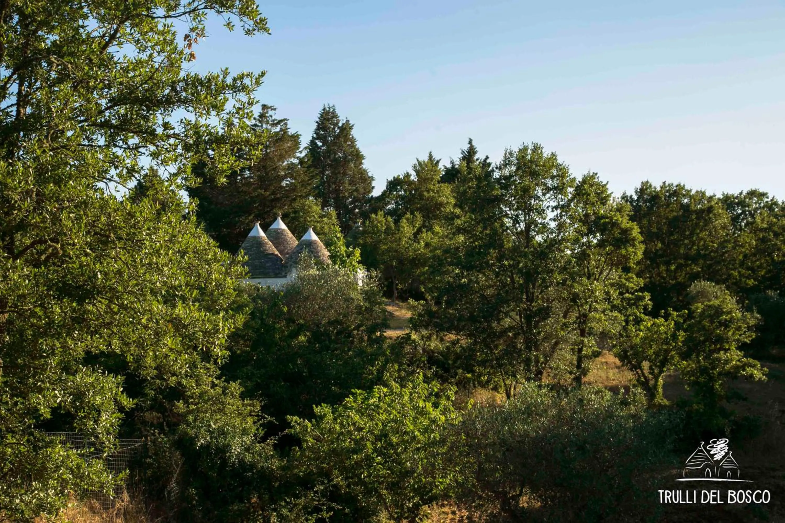 Property building in Trulli Del Bosco