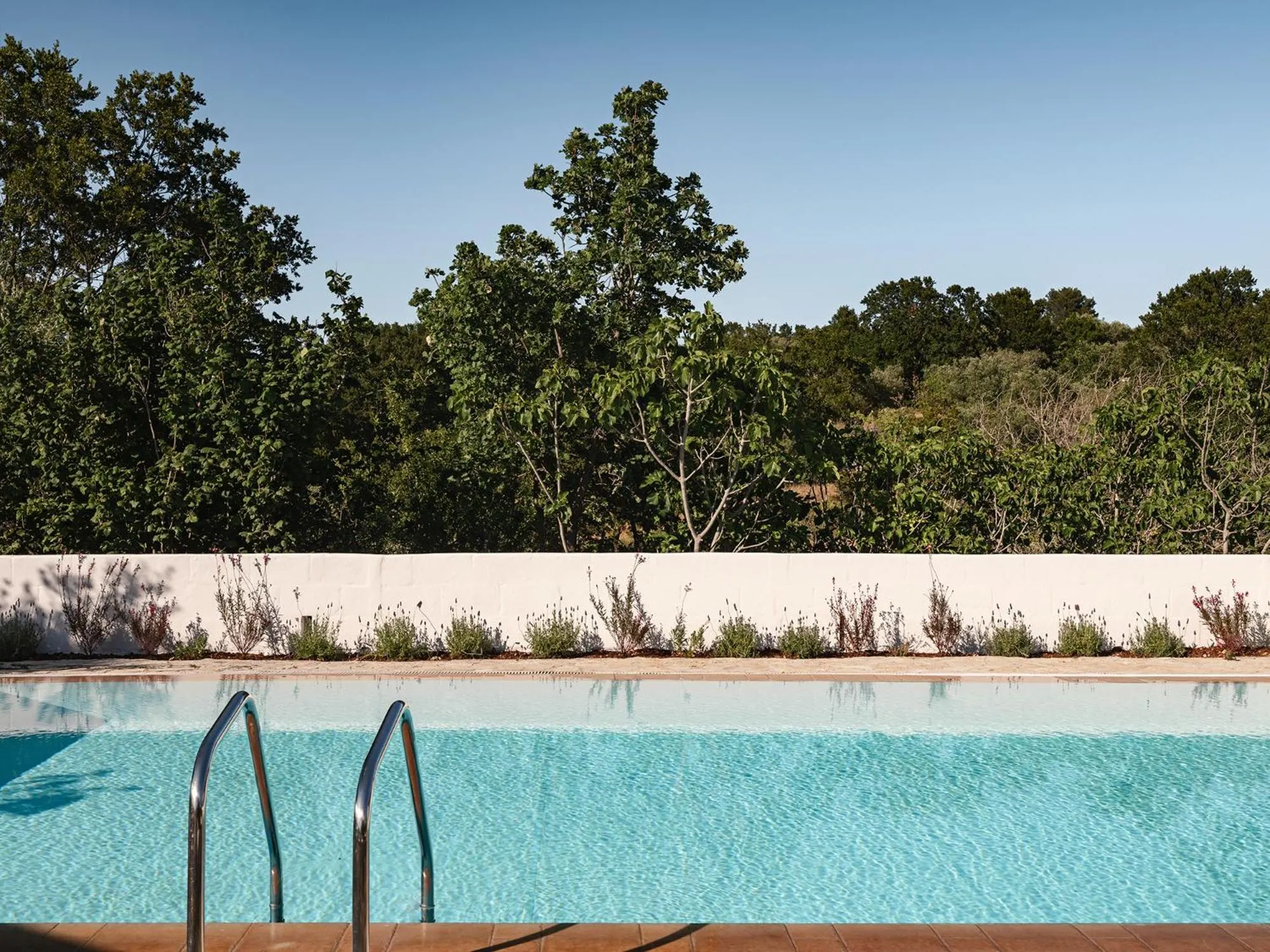 Swimming pool in Trulli Del Bosco