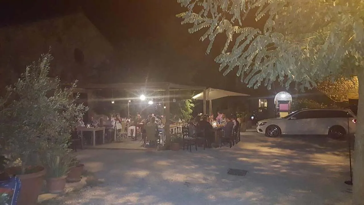 Bed And Breakfast Belvedere