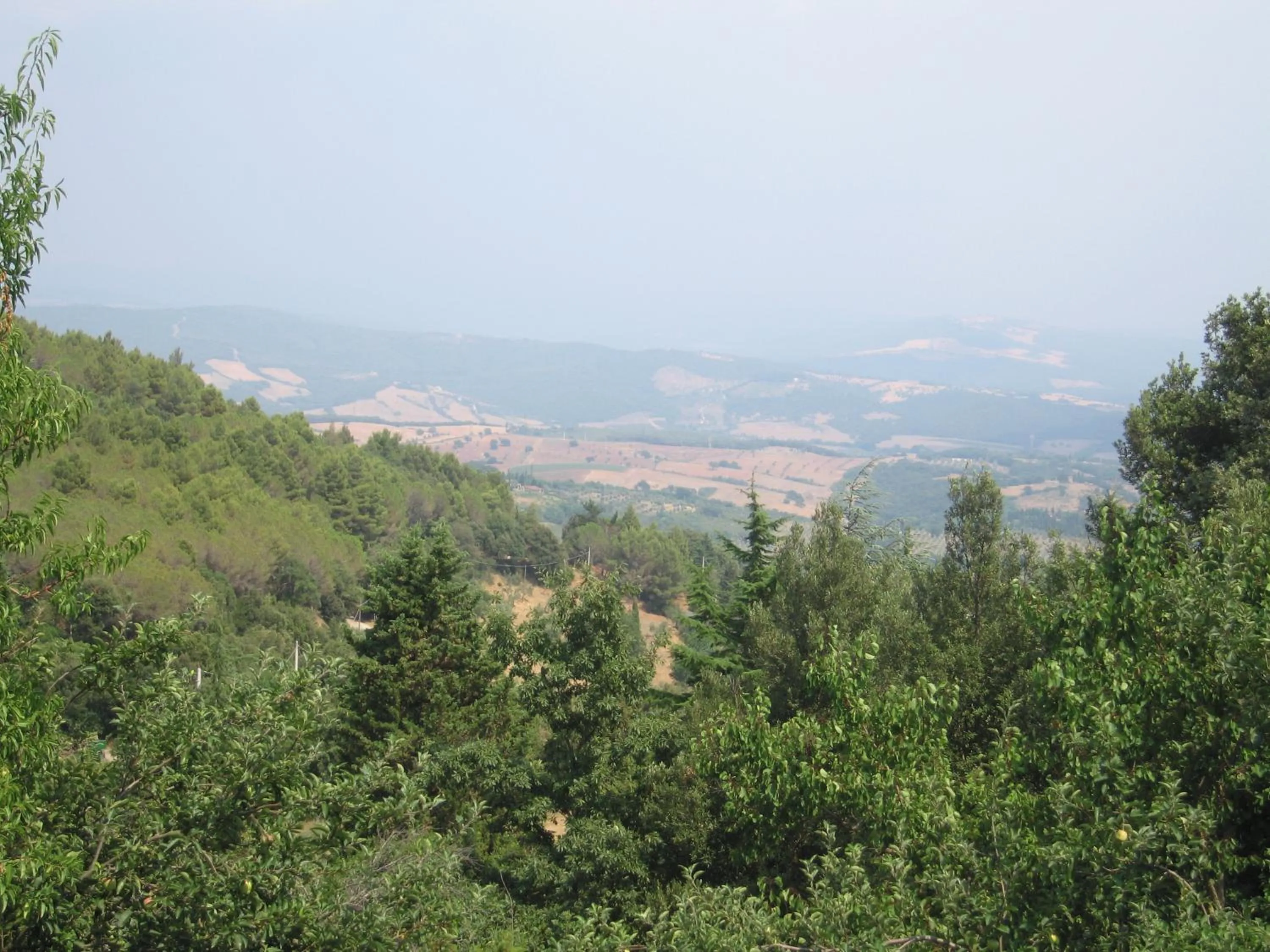 Bed And Breakfast Belvedere