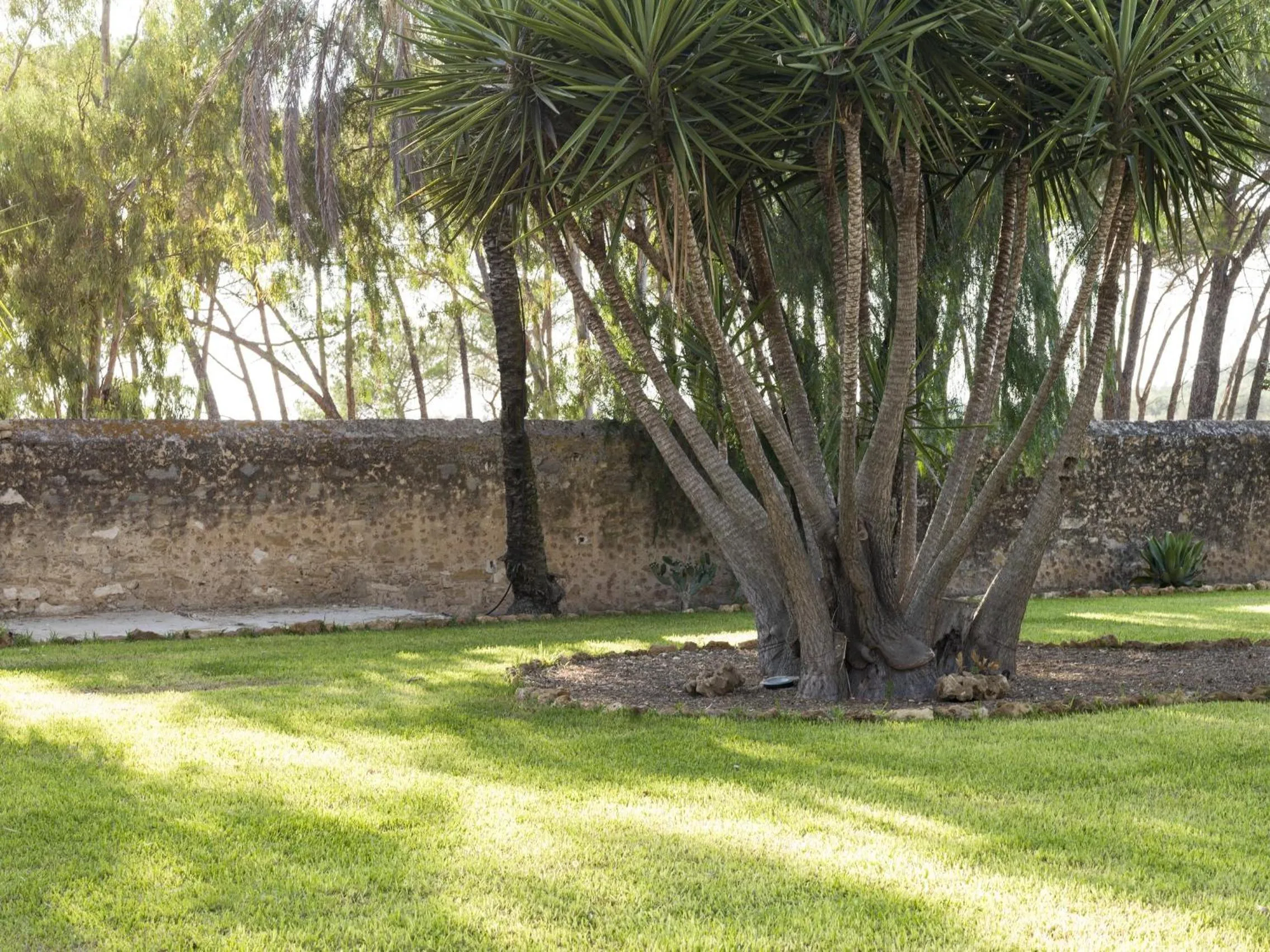 Patio in Wine Relais Feudi Del Pisciotto