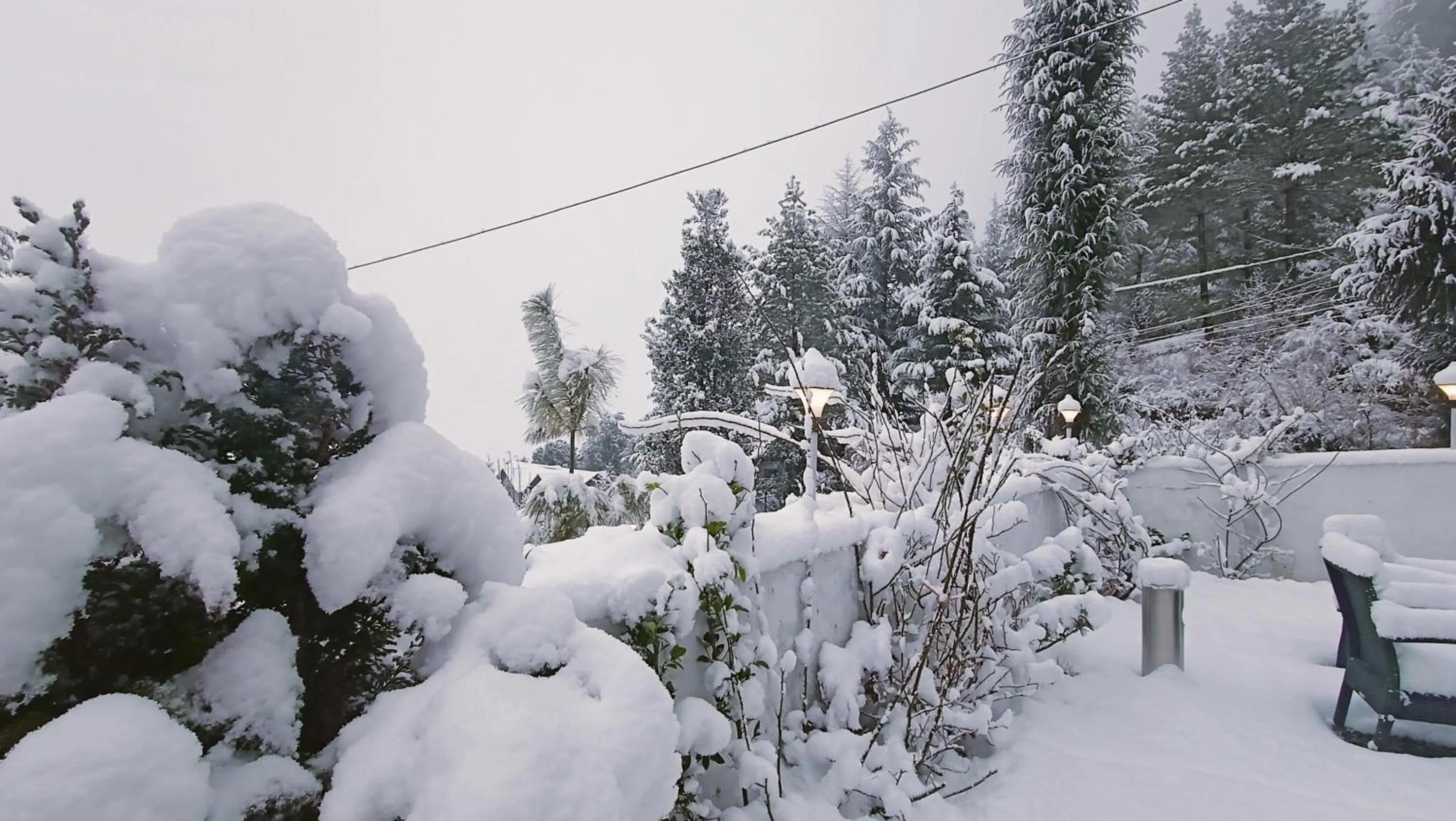 Natural landscape in Baan by Snow City Farm