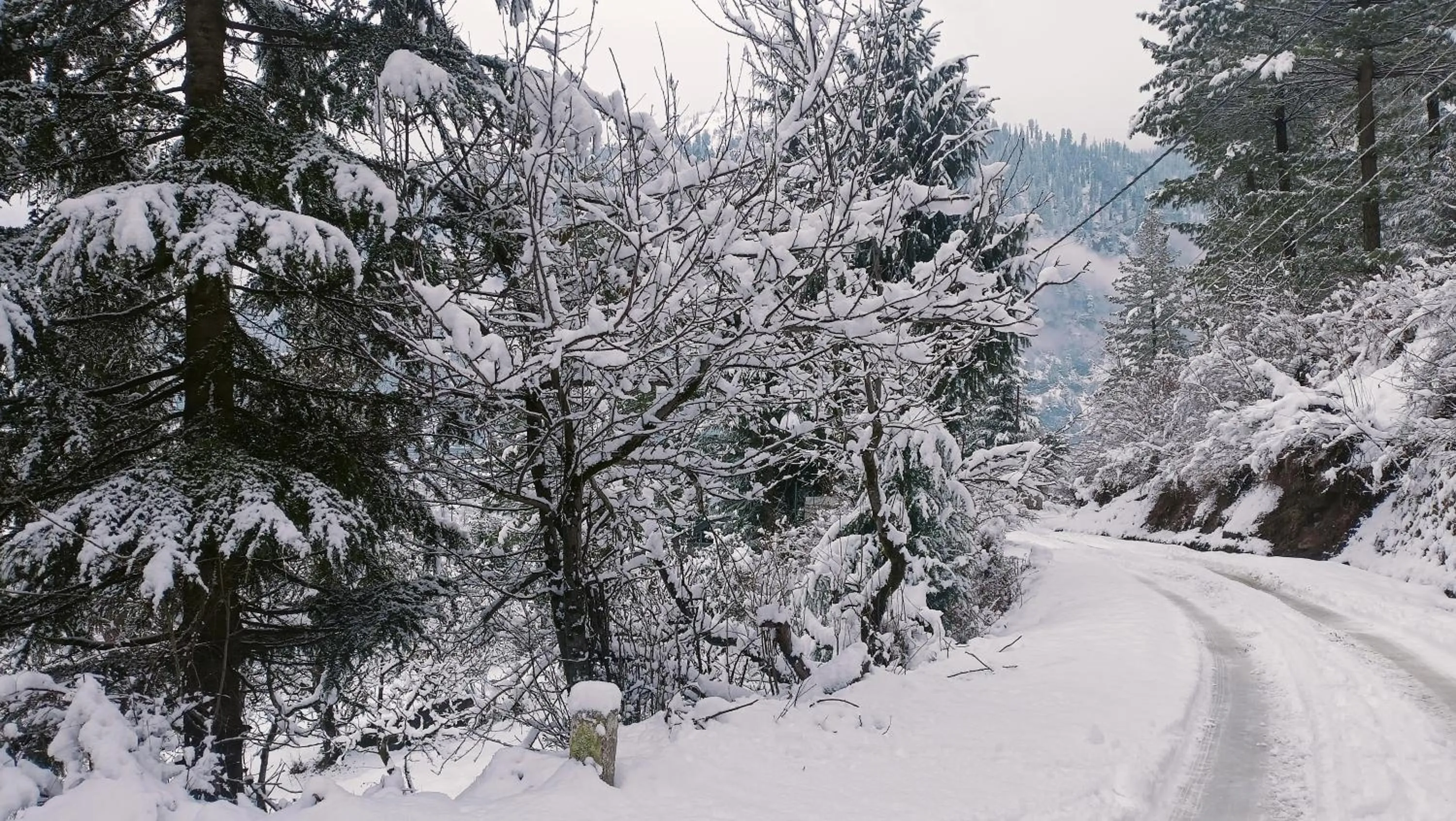 Natural landscape in Baan by Snow City Farm