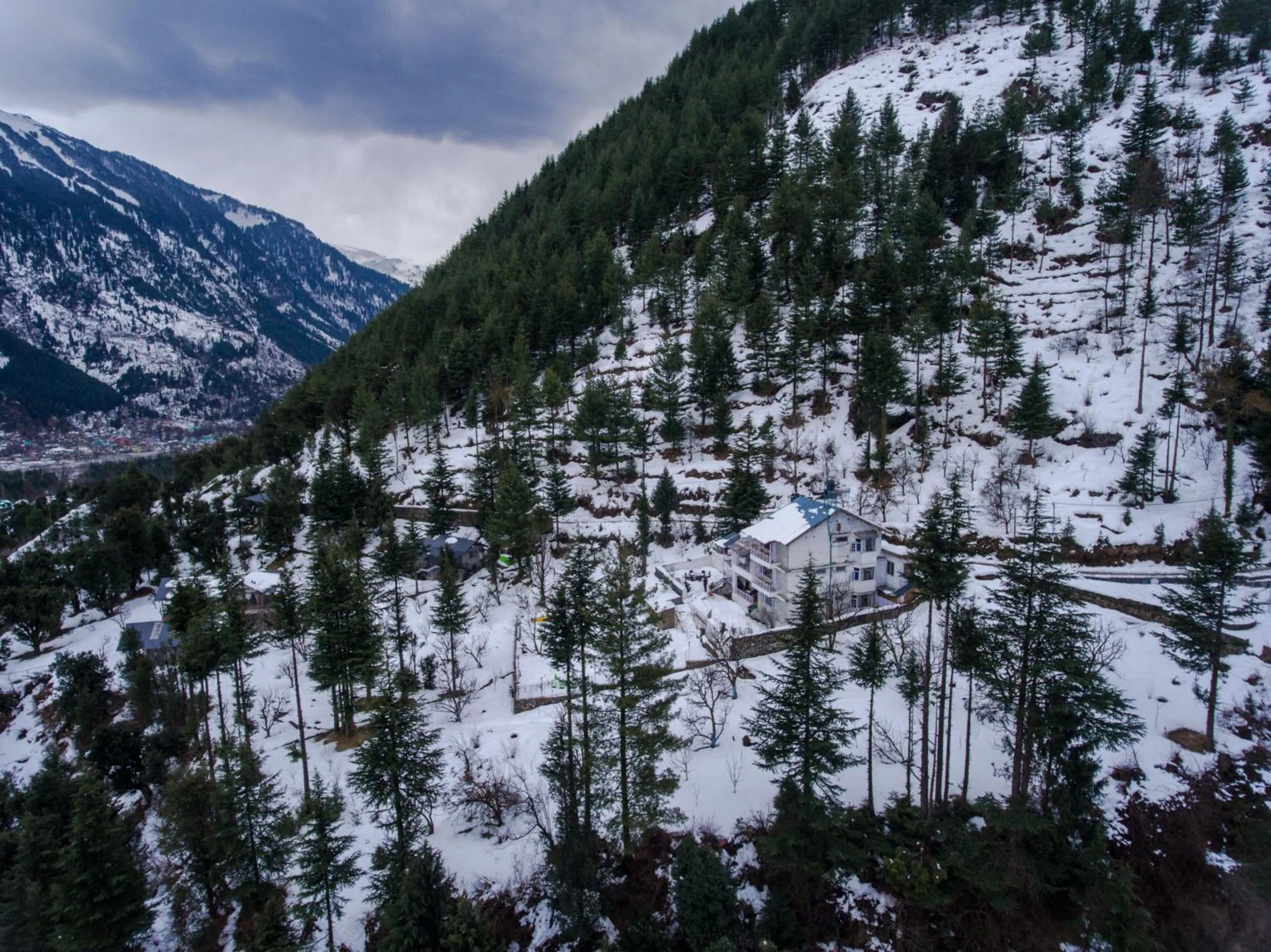 VIP in Baan by Snow City Farm