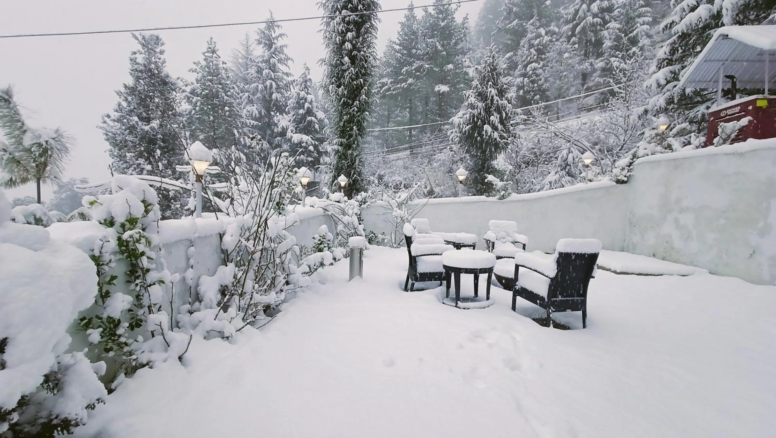 Day in Baan by Snow City Farm