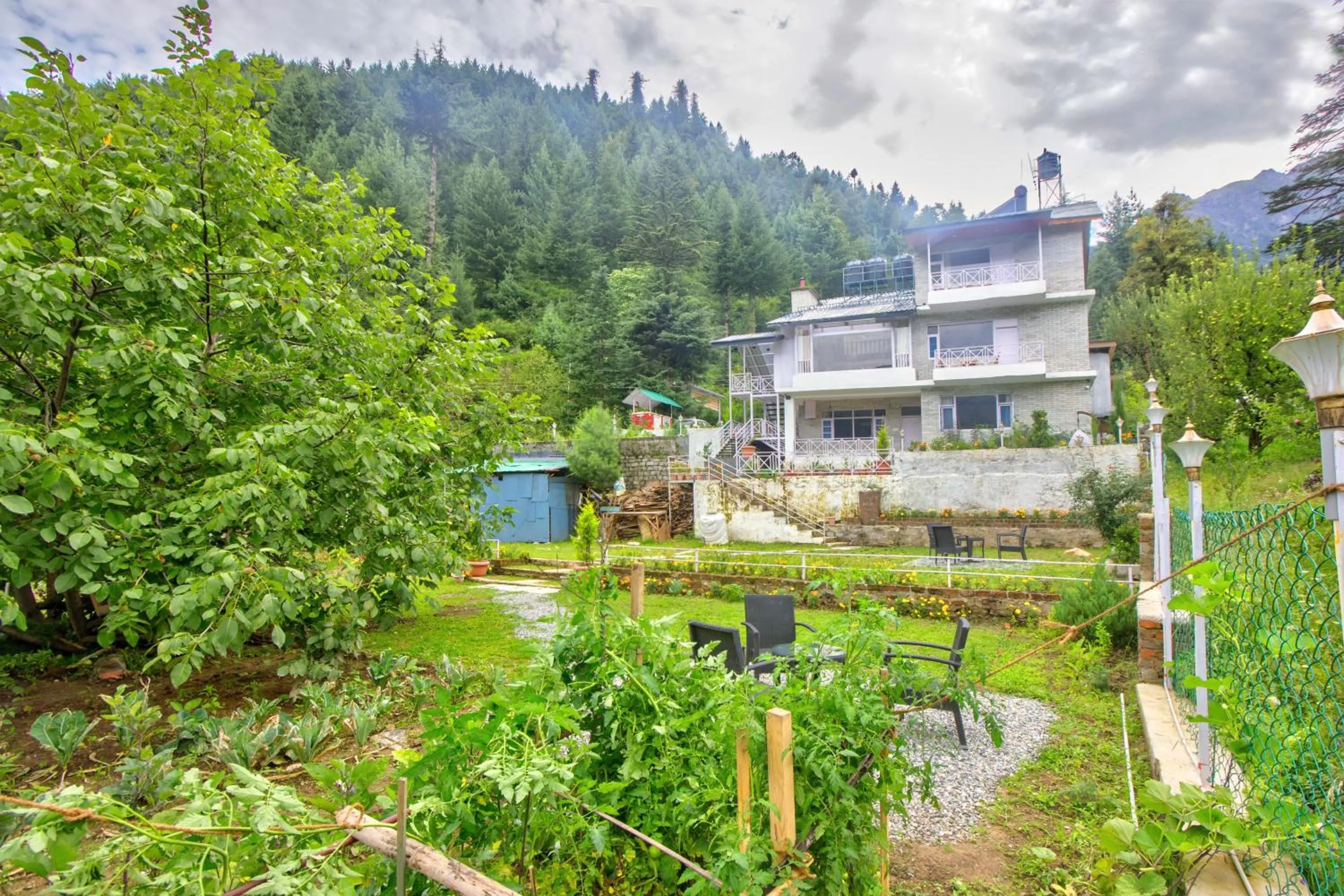 Garden in Baan by Snow City Farm