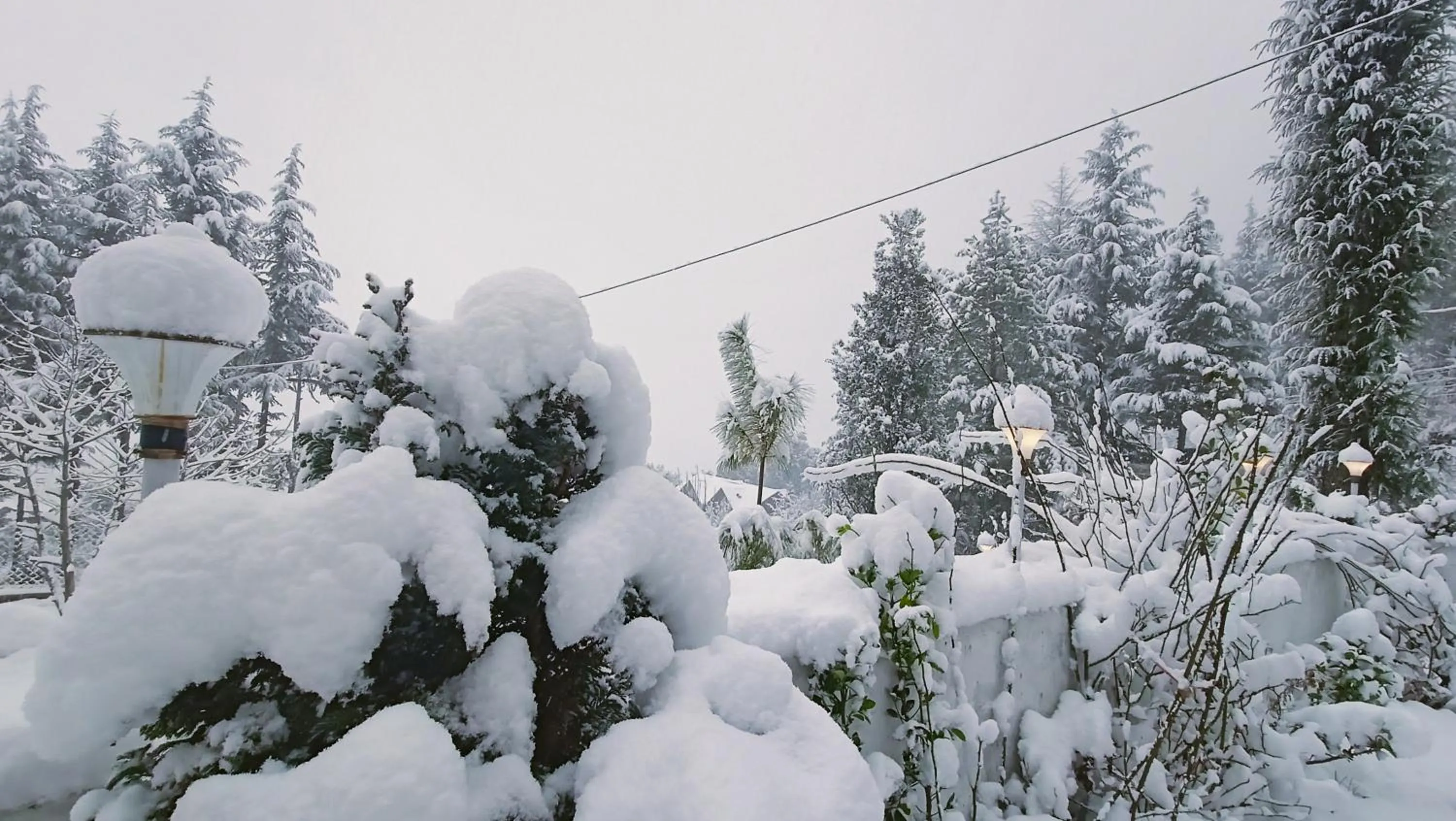 Winter in Baan by Snow City Farm