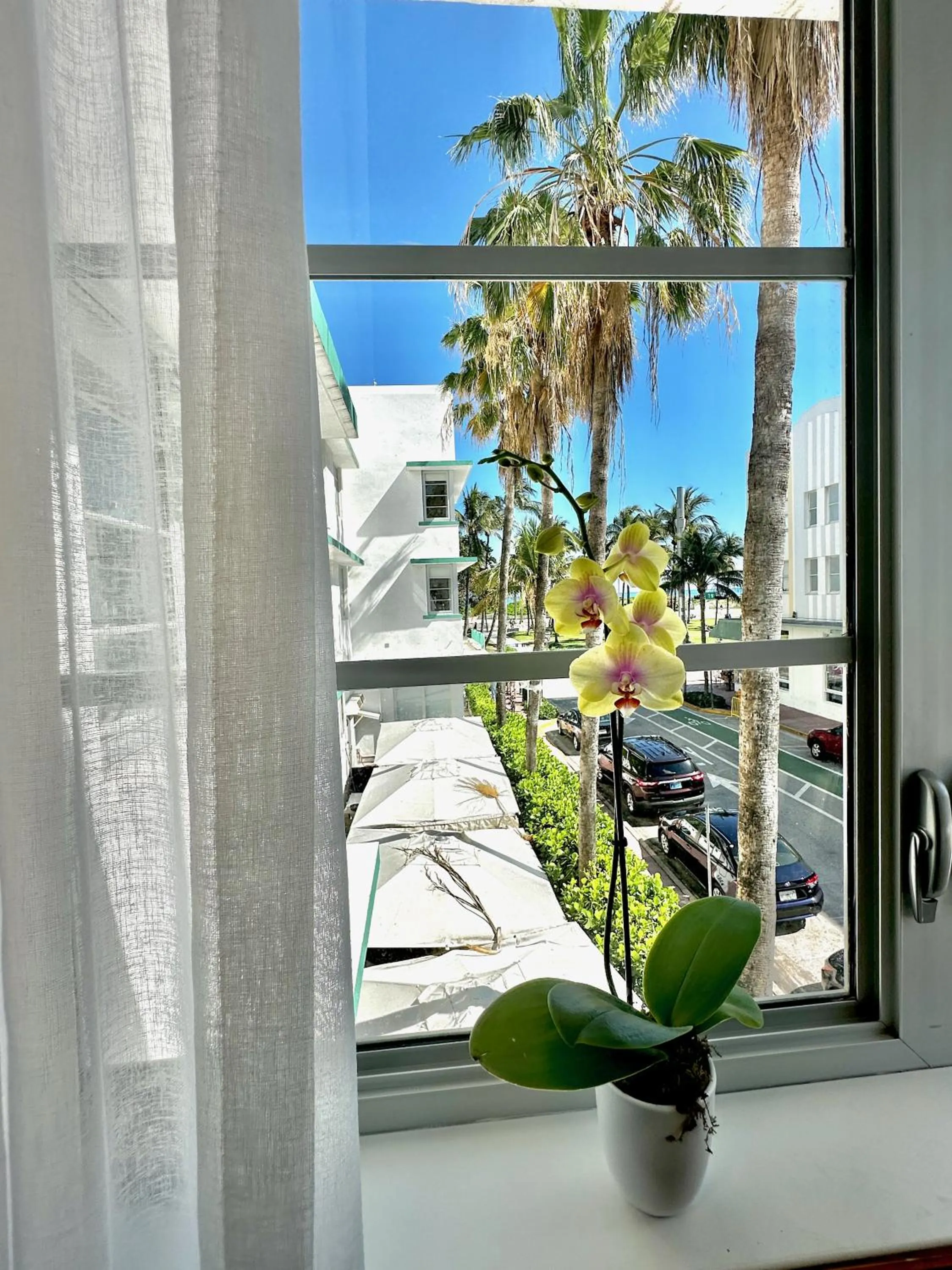 View (from property/room) in Avalon Hotel