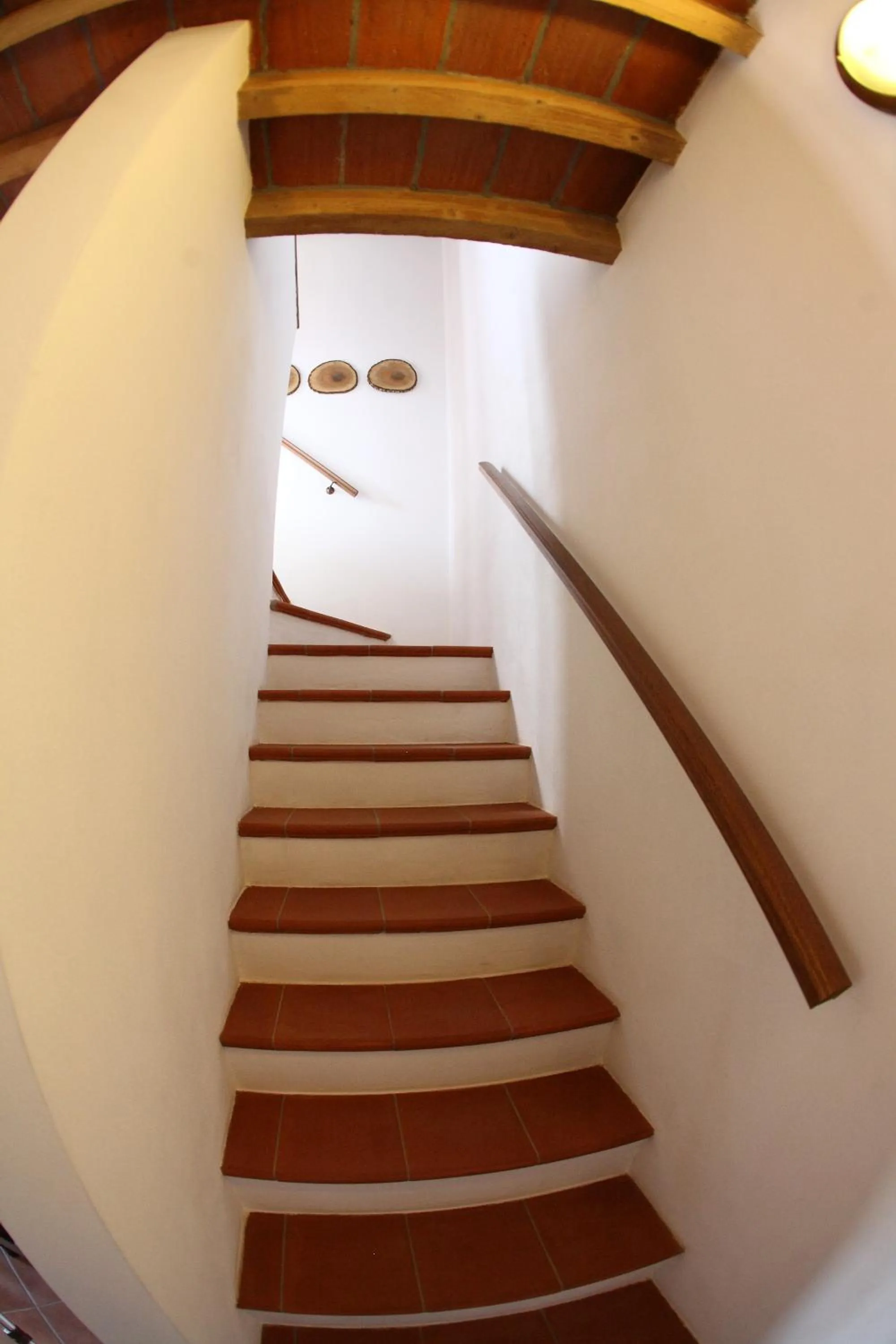 Decorative detail in B&B Stradivari