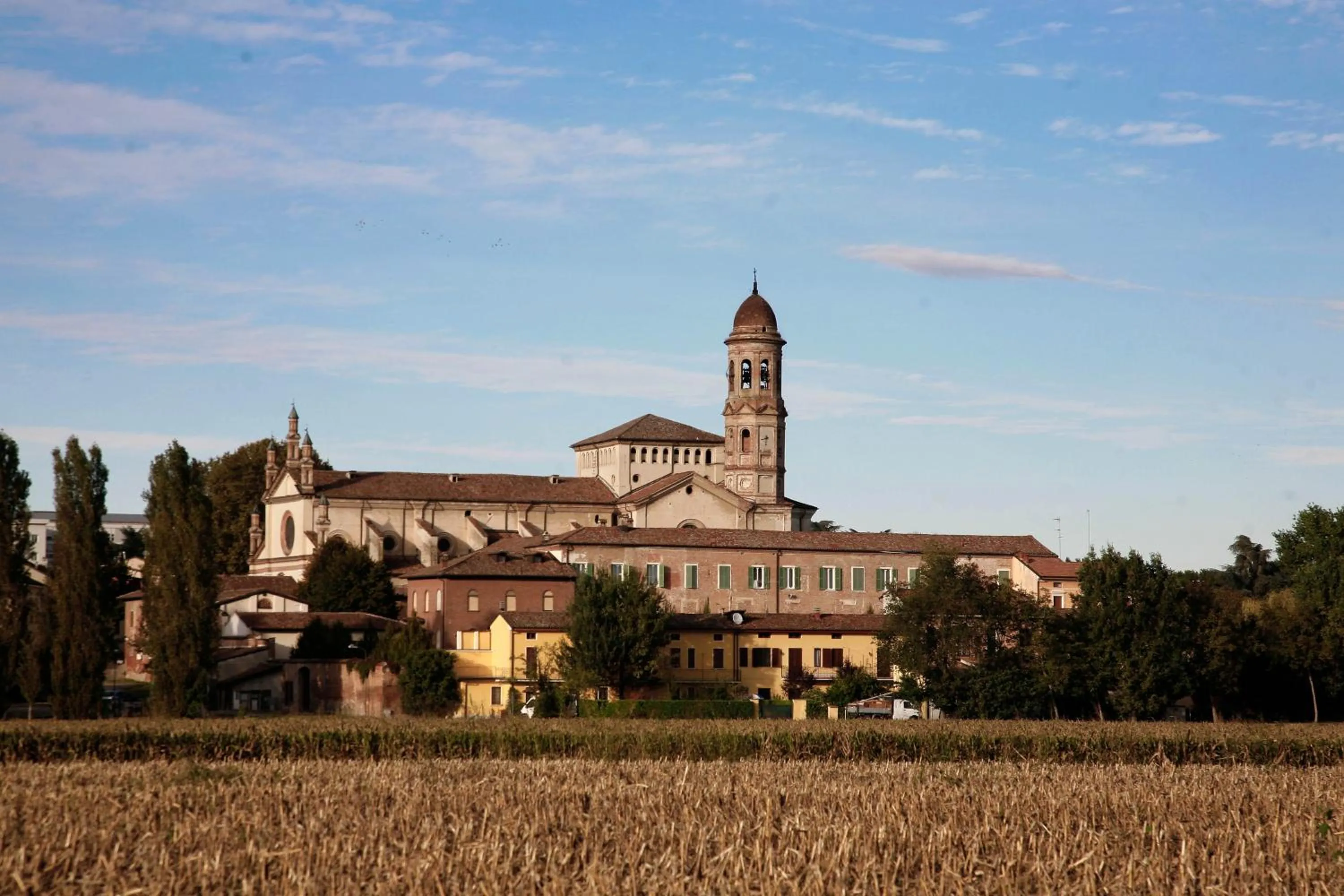 Summer in B&B Stradivari