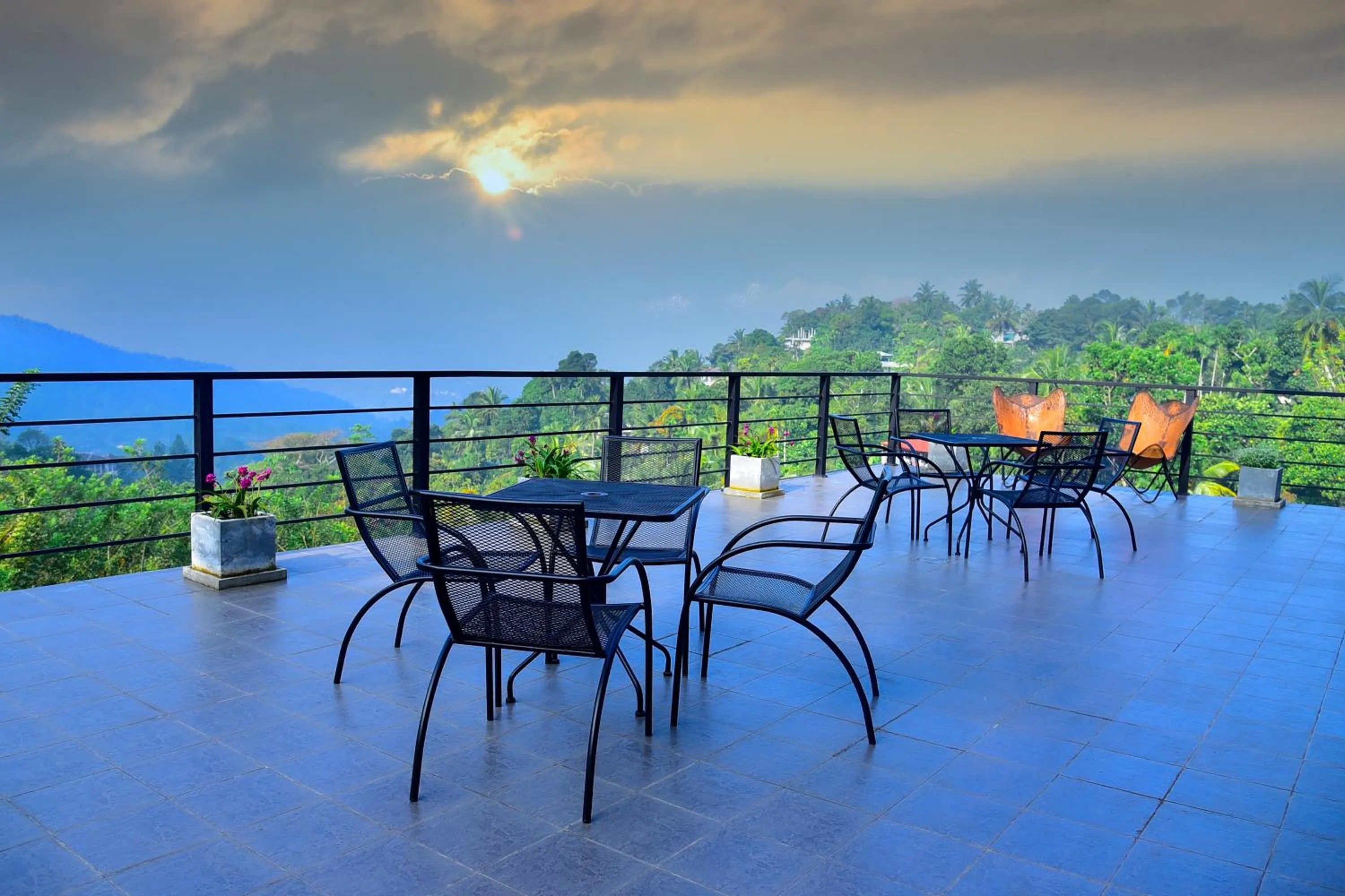 View (from property/room) in Pine Hill Residence