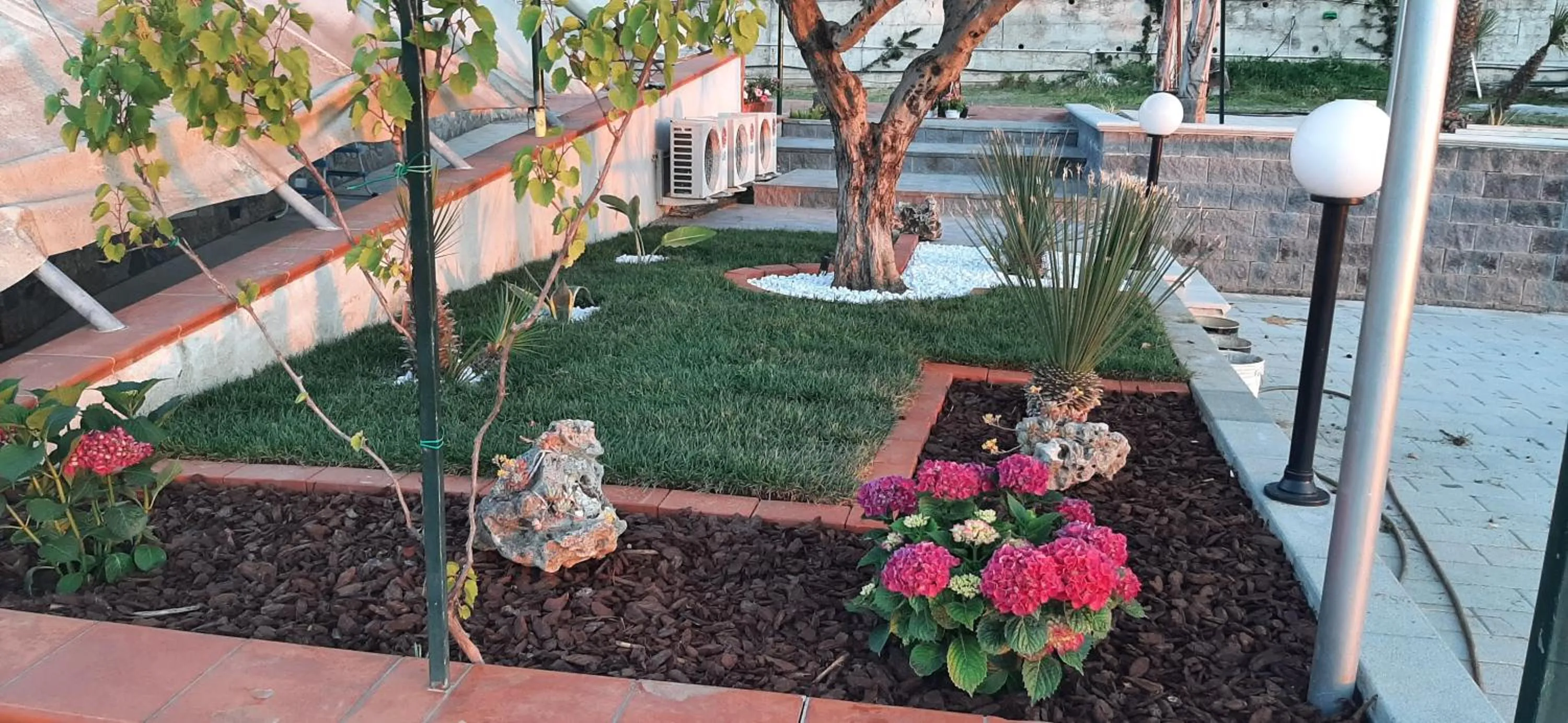 Villa Mola Bed And Breakfast