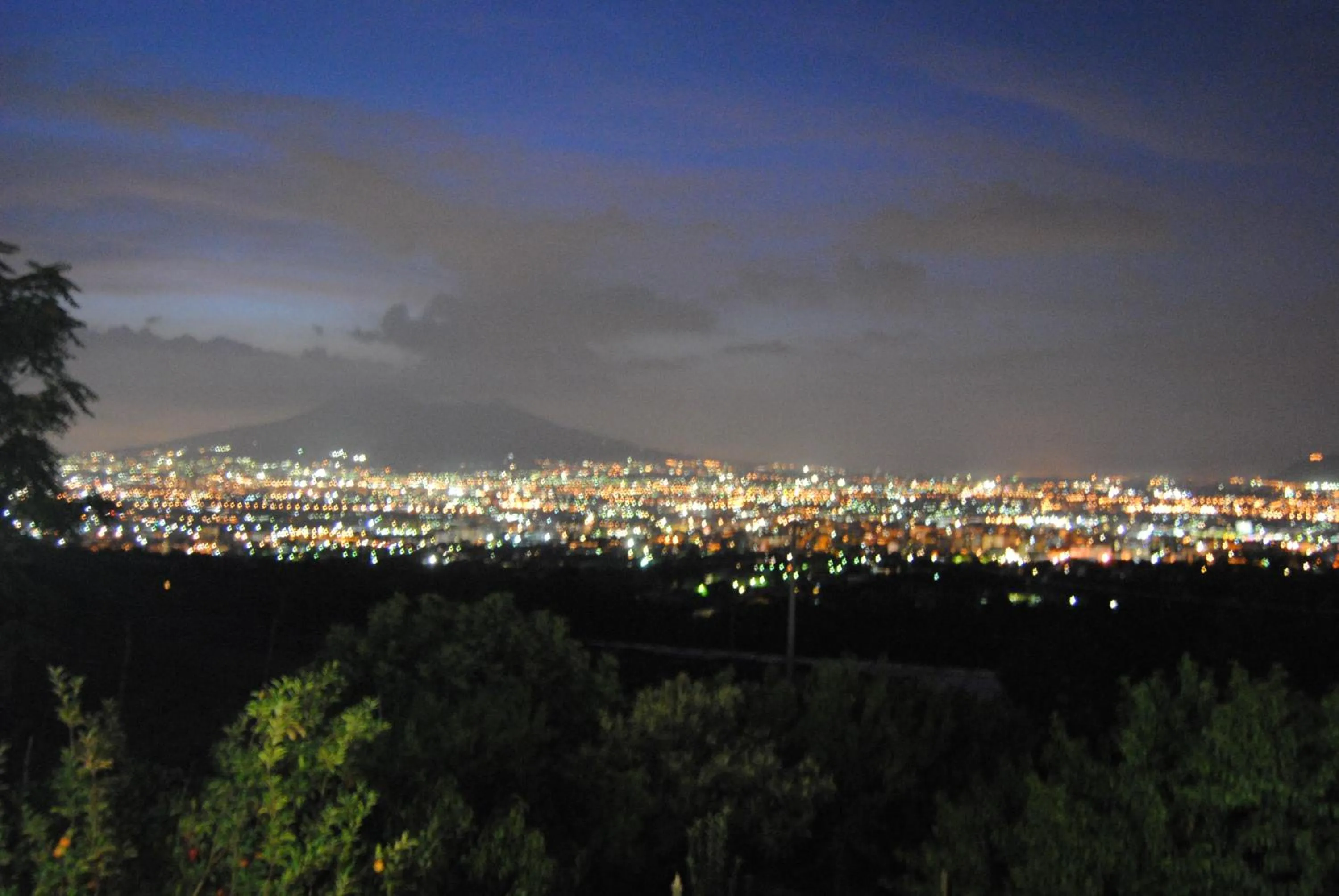 Garden in Villa Mola Bed And Breakfast