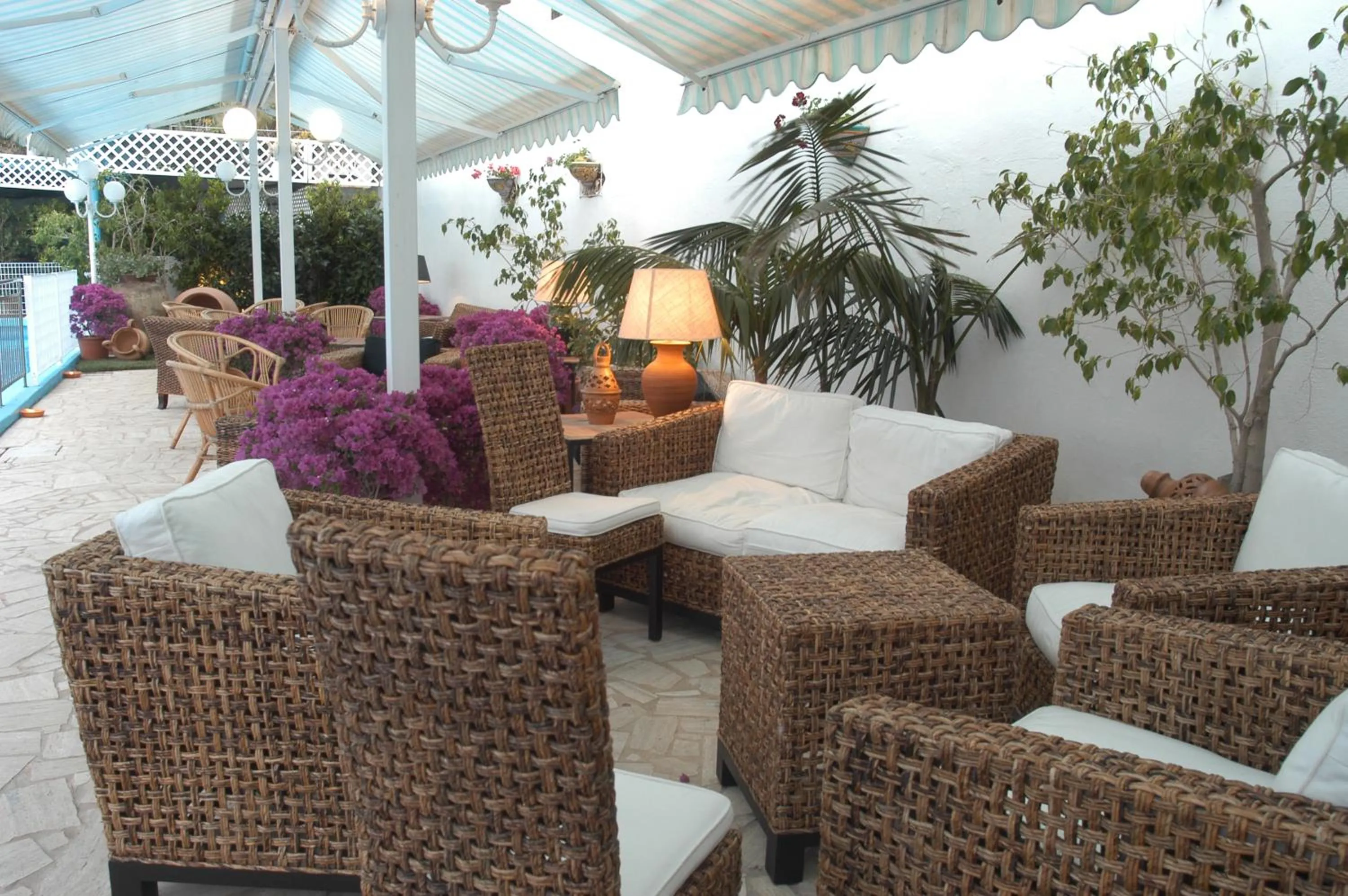 Entertainment in Hotel La Tartaruga