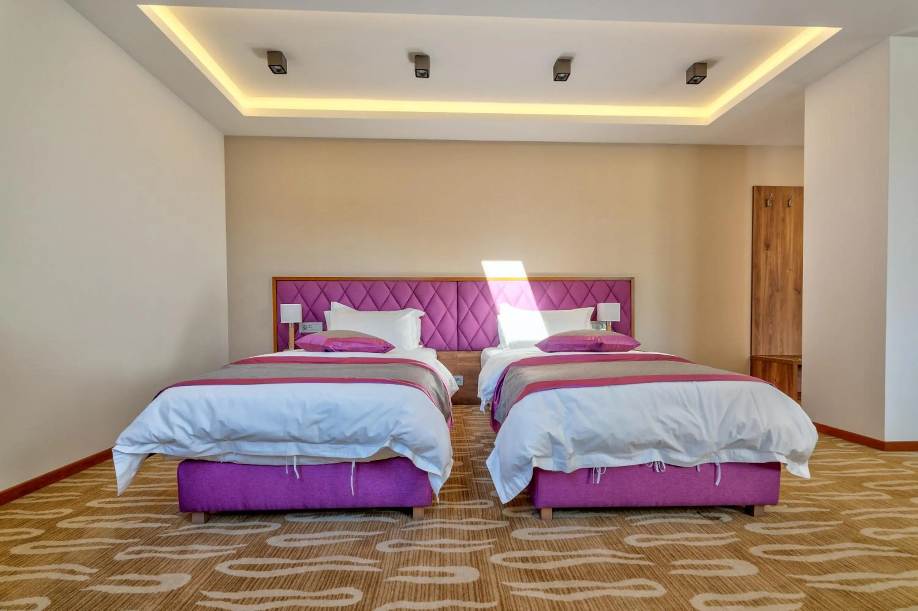 Superior Twin Room in Hotel Buket Zlatibor