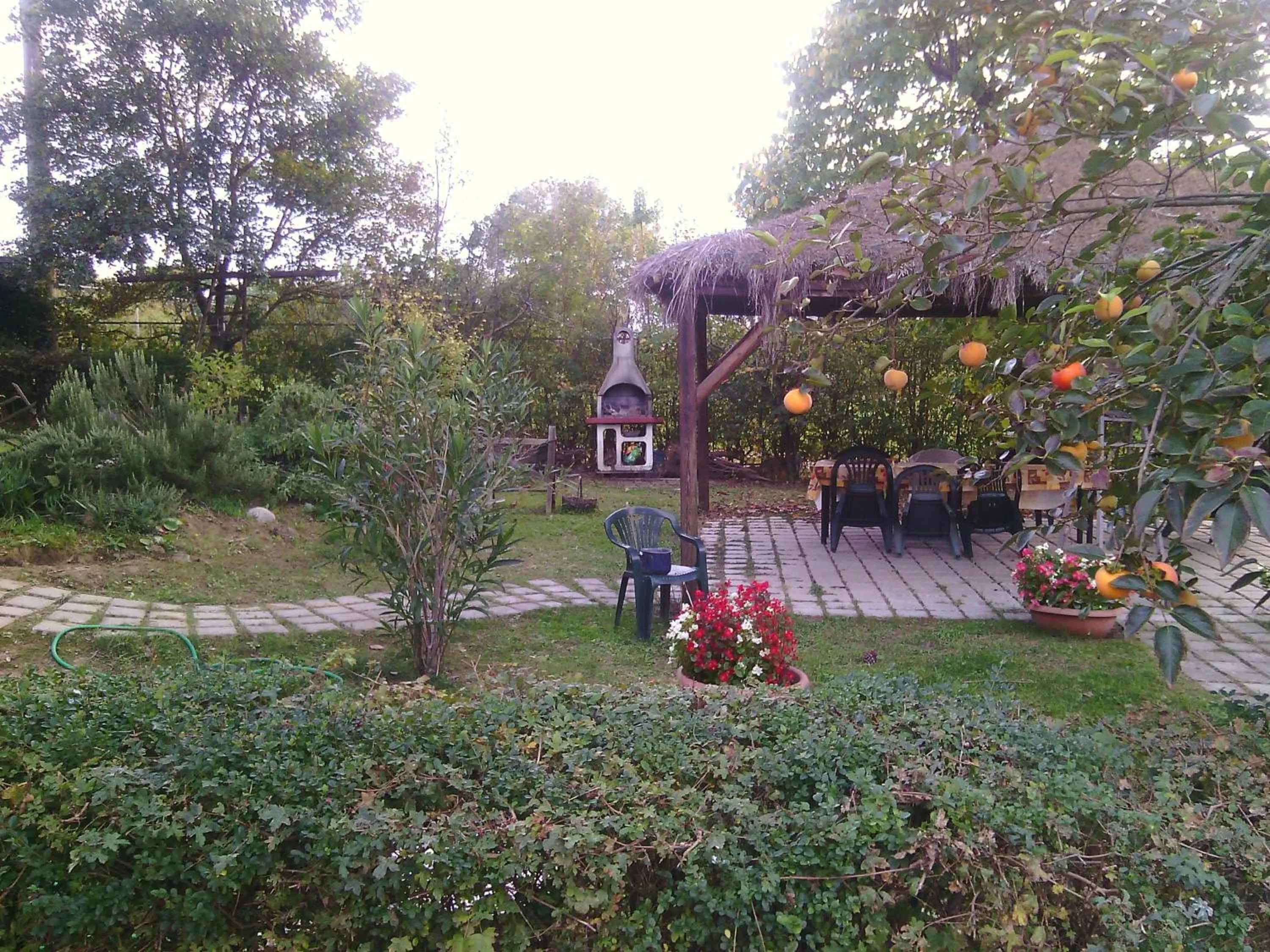 Artisti Del Cavallo Tourism